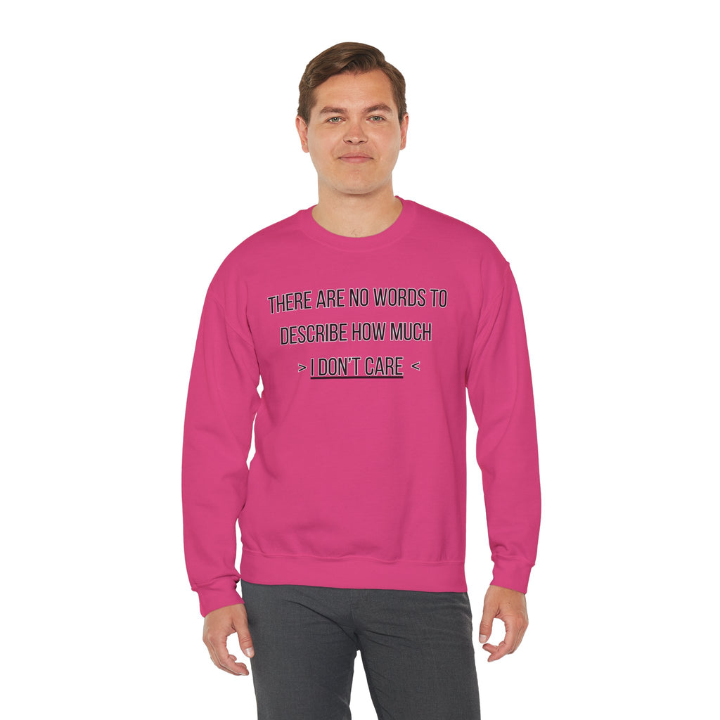 There Are No Words To Describe How Much > I Don’t Care < - Sweatshirt