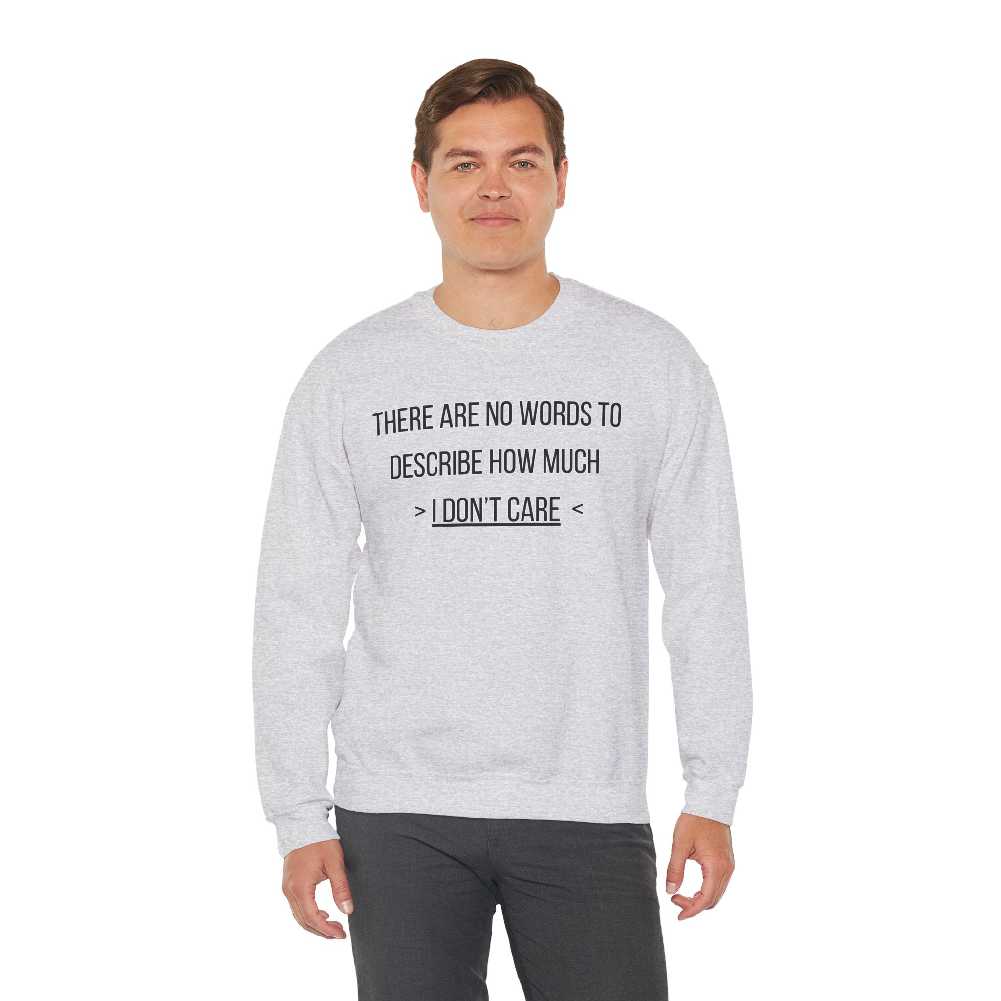 There Are No Words To Describe How Much > I Don’t Care < - Sweatshirt