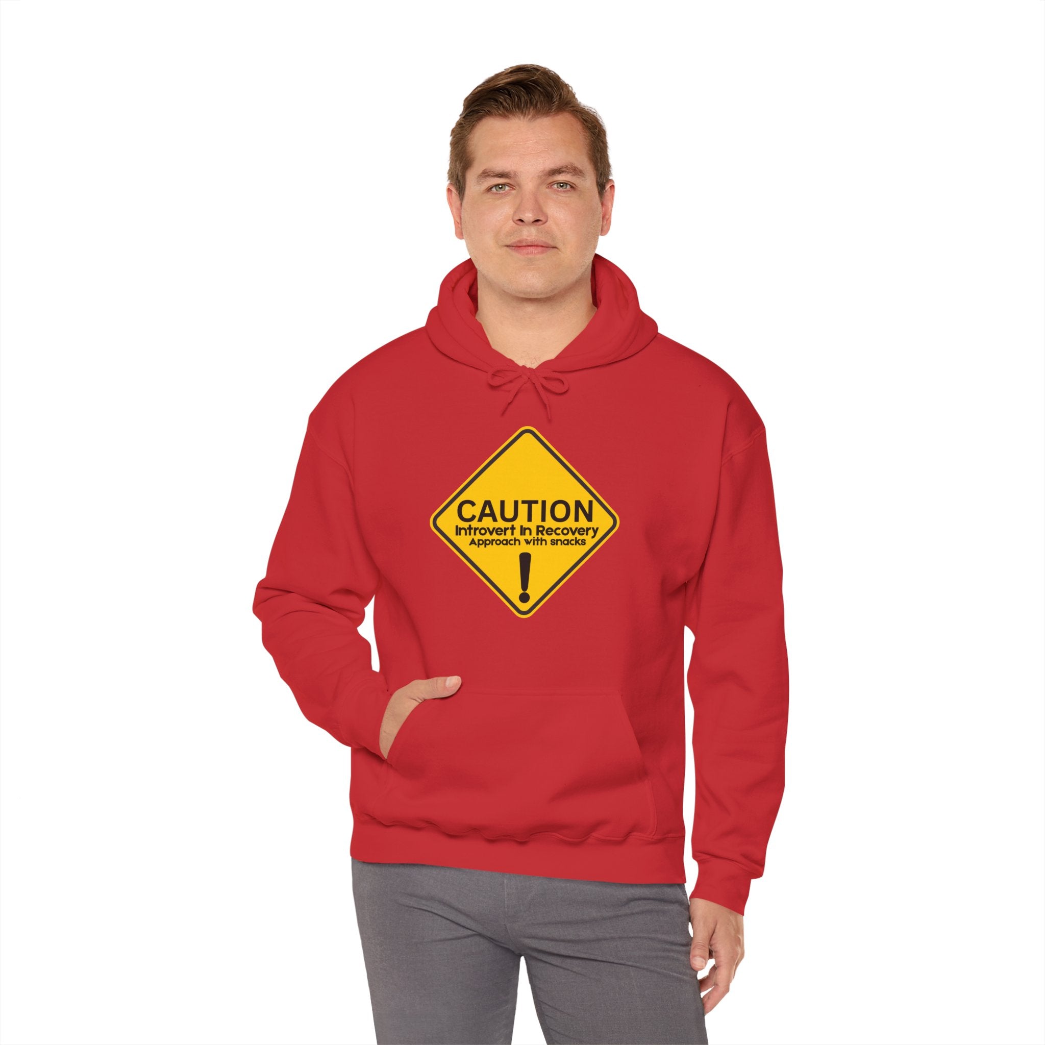 Caution: Introvert In Recovery — Approach With Snacks - hoodie