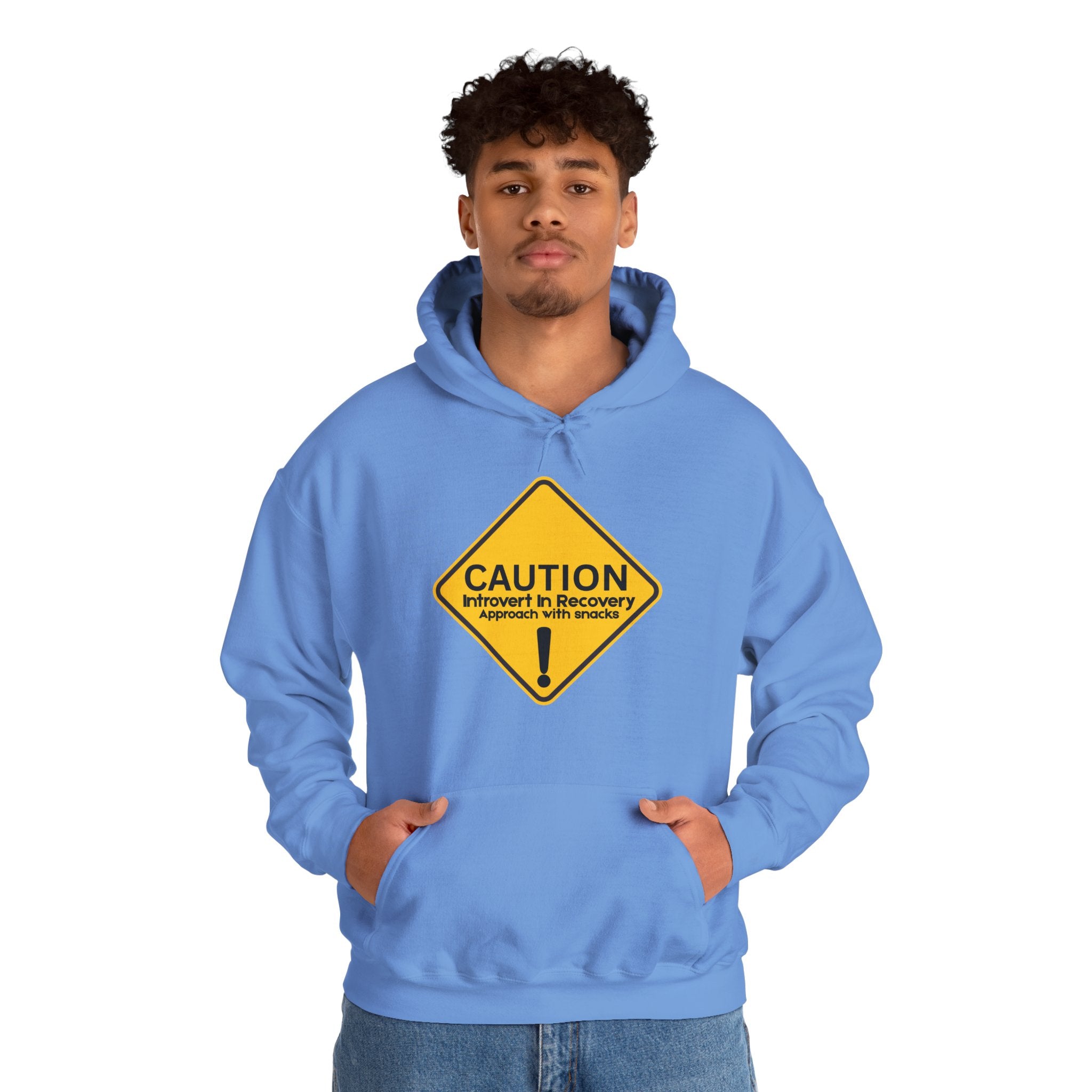 Caution: Introvert In Recovery — Approach With Snacks - hoodie