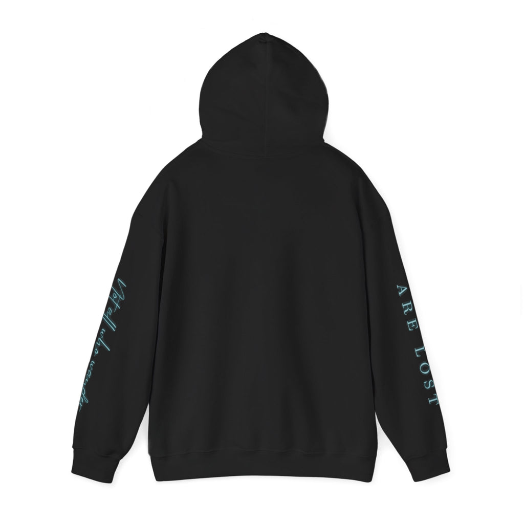 If Not Now, We Are Lost - hoodie