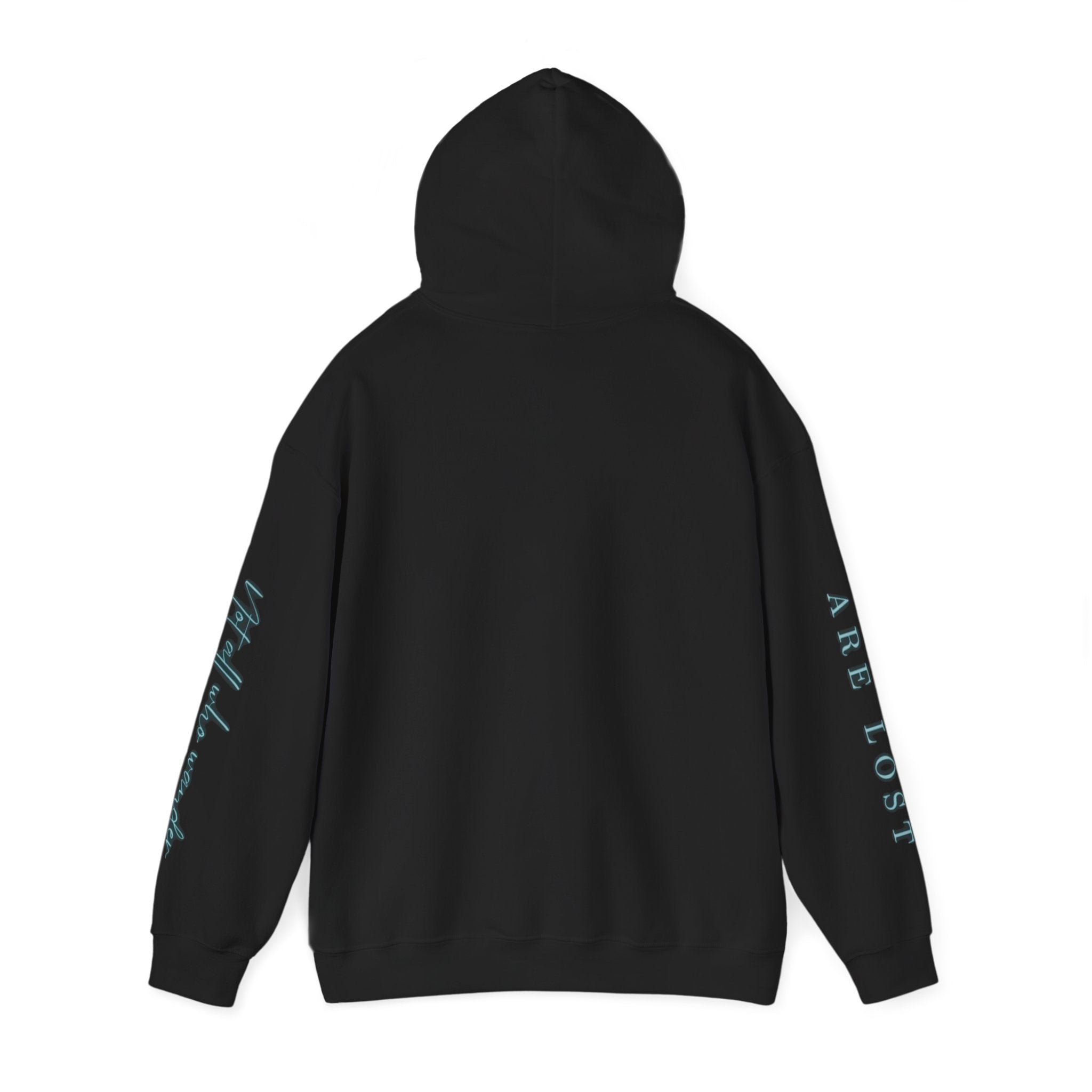 If Not Now, We Are Lost - hoodie