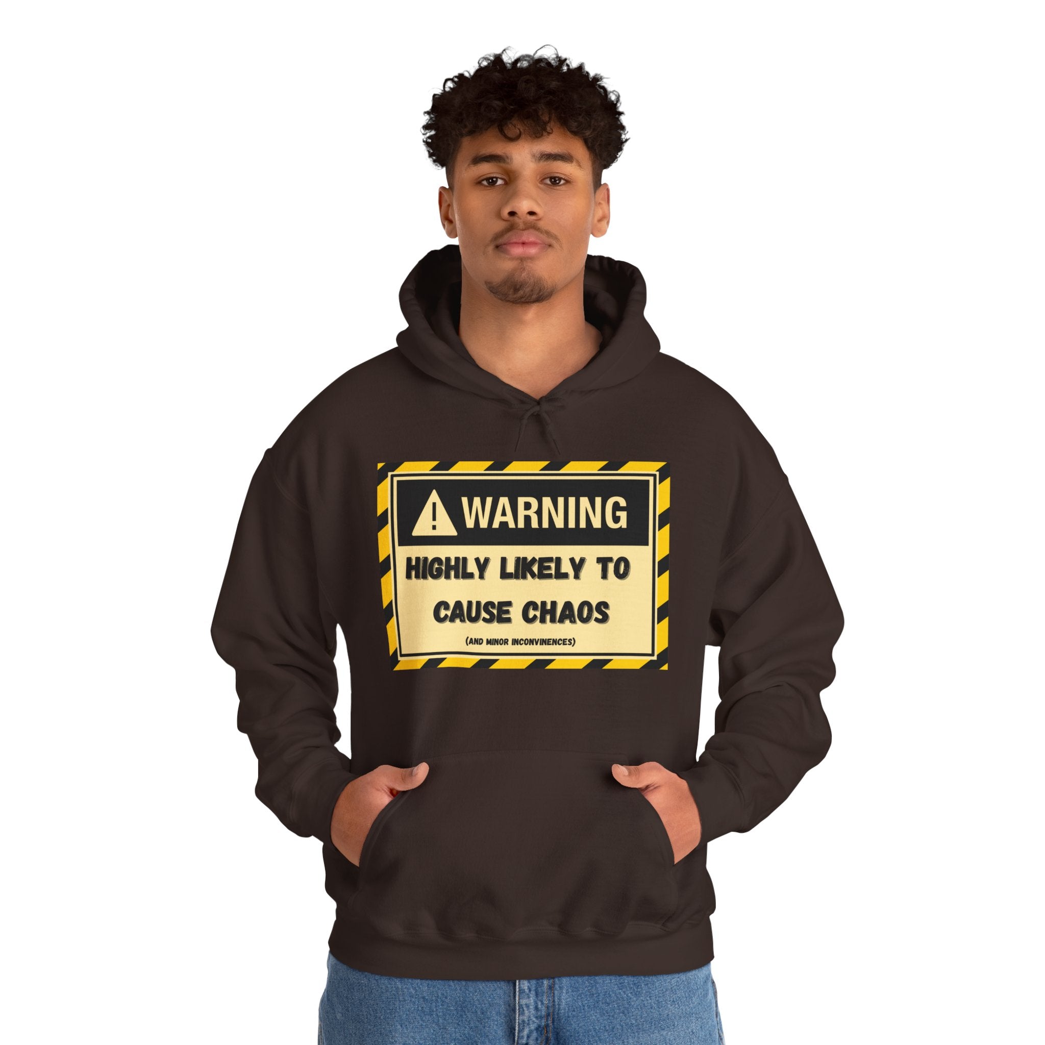 Warning: Highly Likely to Cause Chaos And Minor Inconveniences - Hoodie