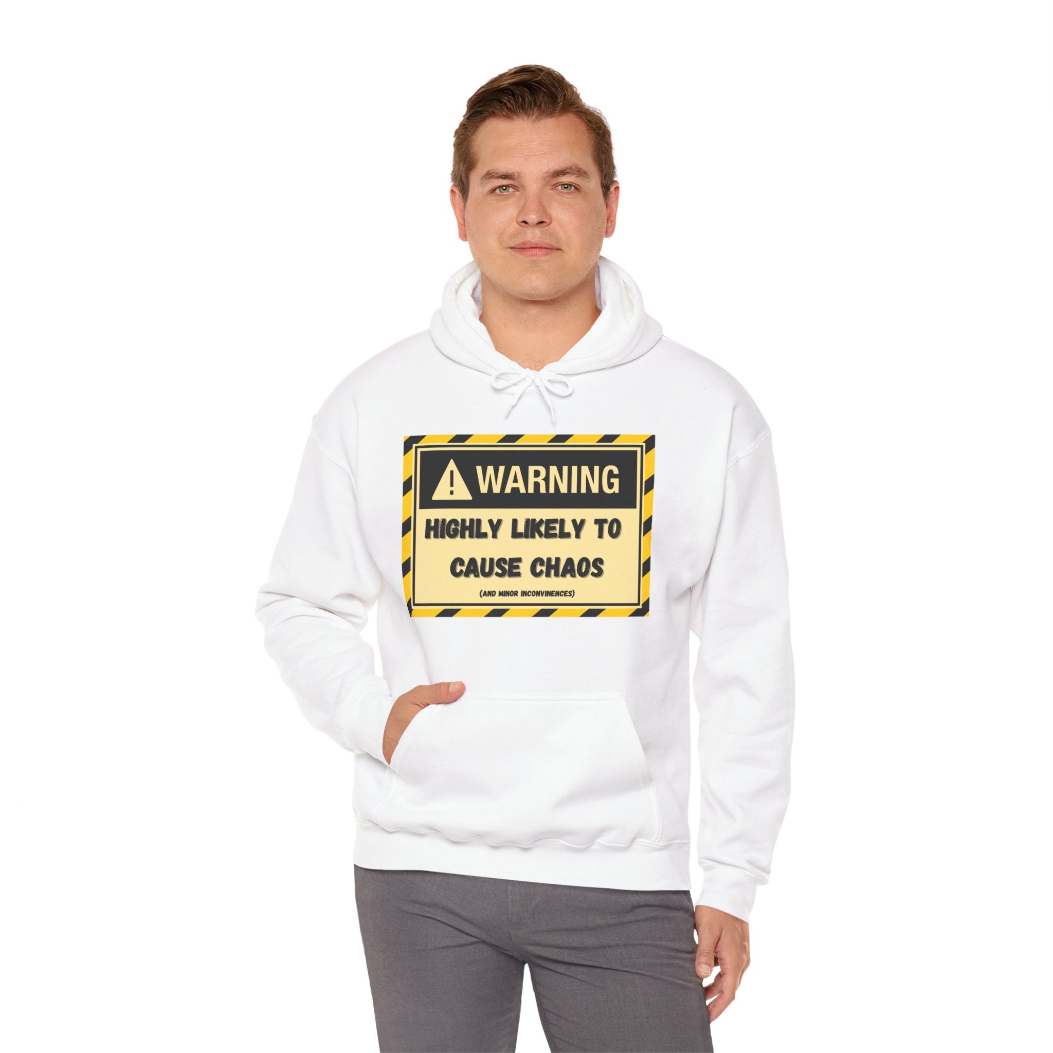 Warning: Highly Likely to Cause Chaos And Minor Inconveniences - Hoodie