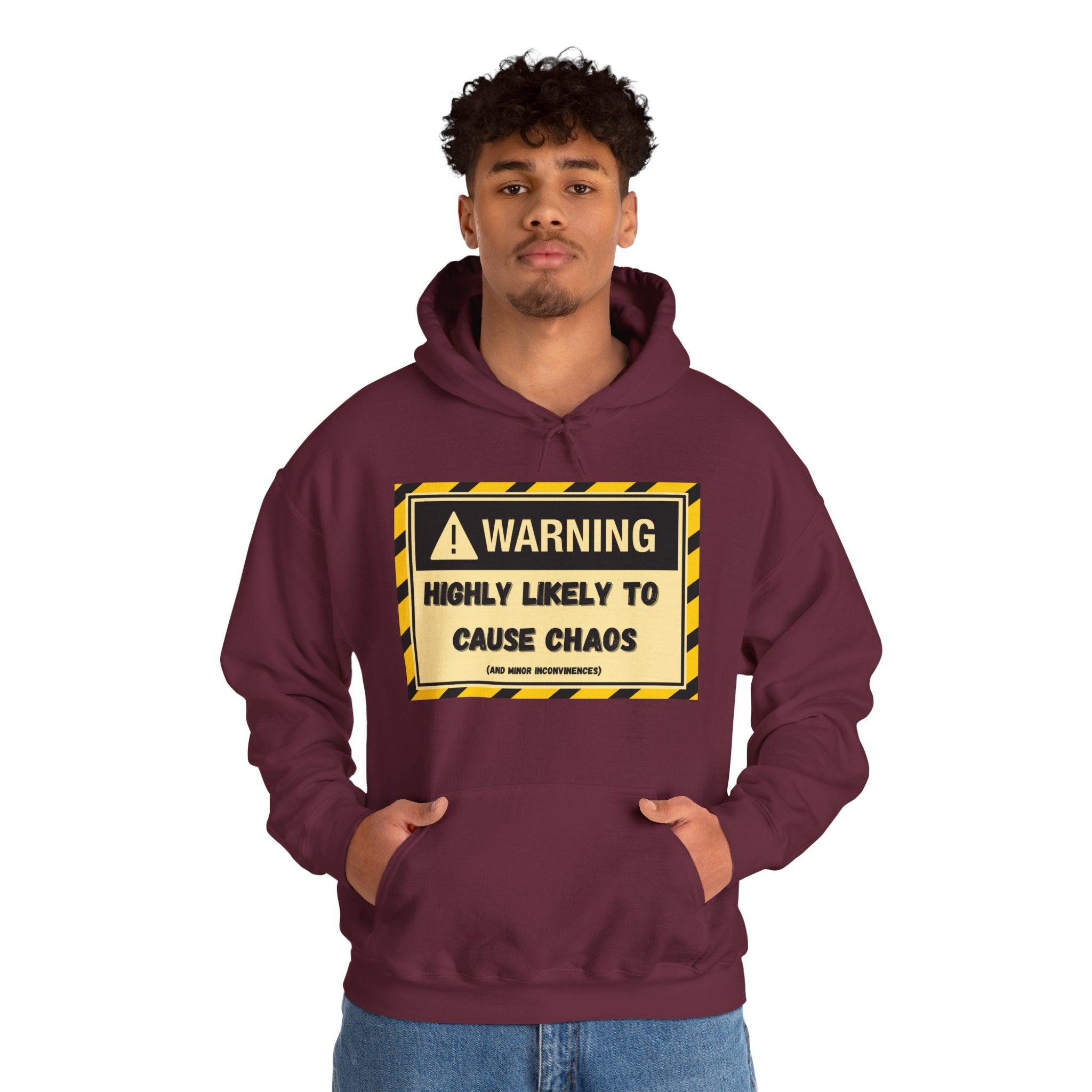 Warning: Highly Likely to Cause Chaos And Minor Inconveniences - Hoodie