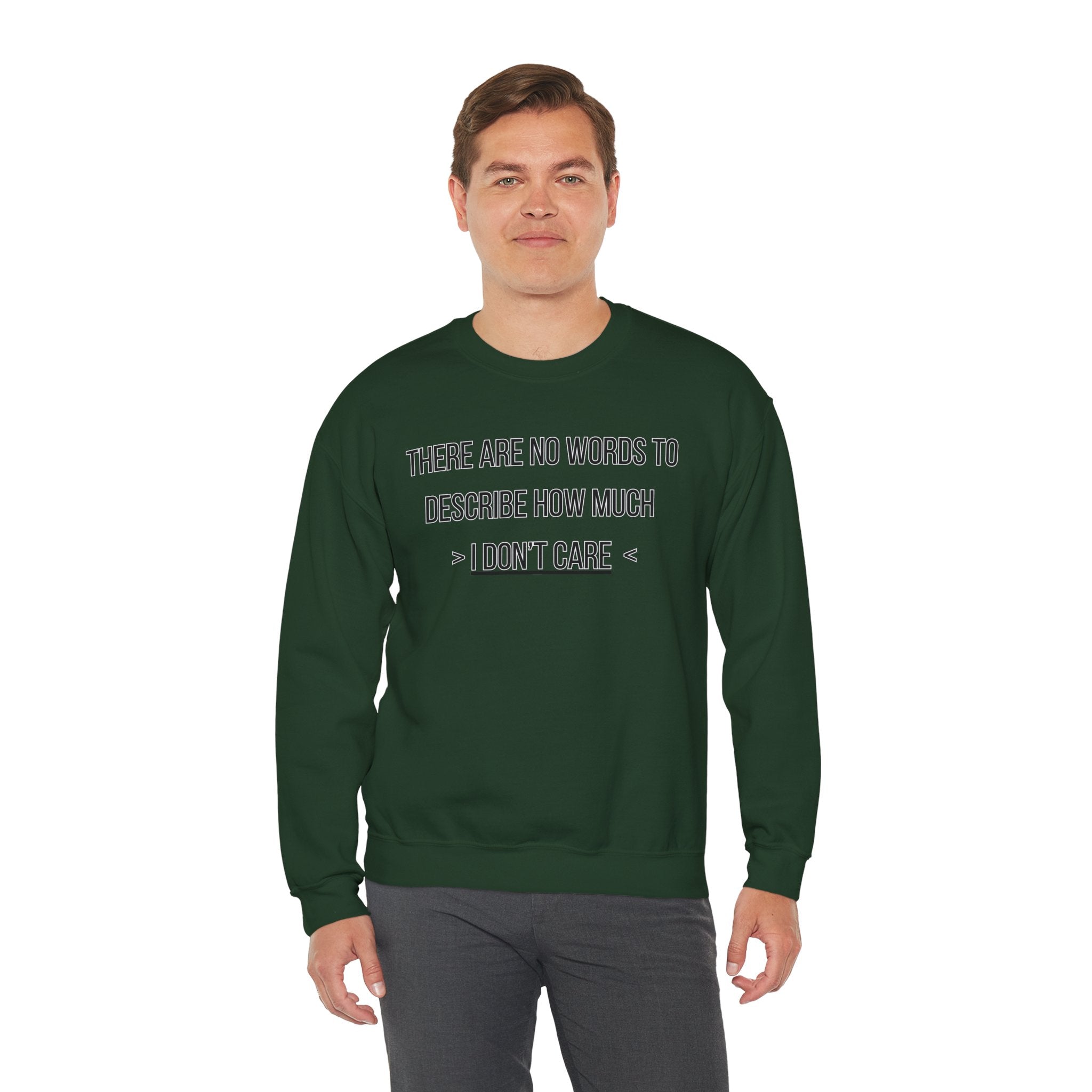 There Are No Words To Describe How Much > I Don’t Care < - Sweatshirt