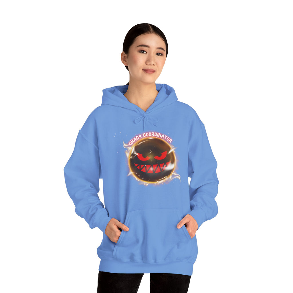 Chaos Coordinator - Hoodie