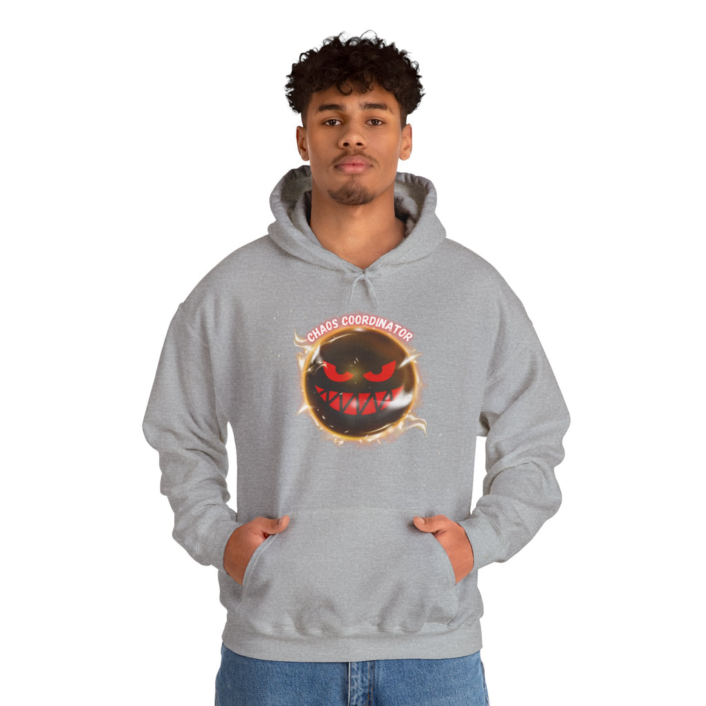 Chaos Coordinator - Hoodie