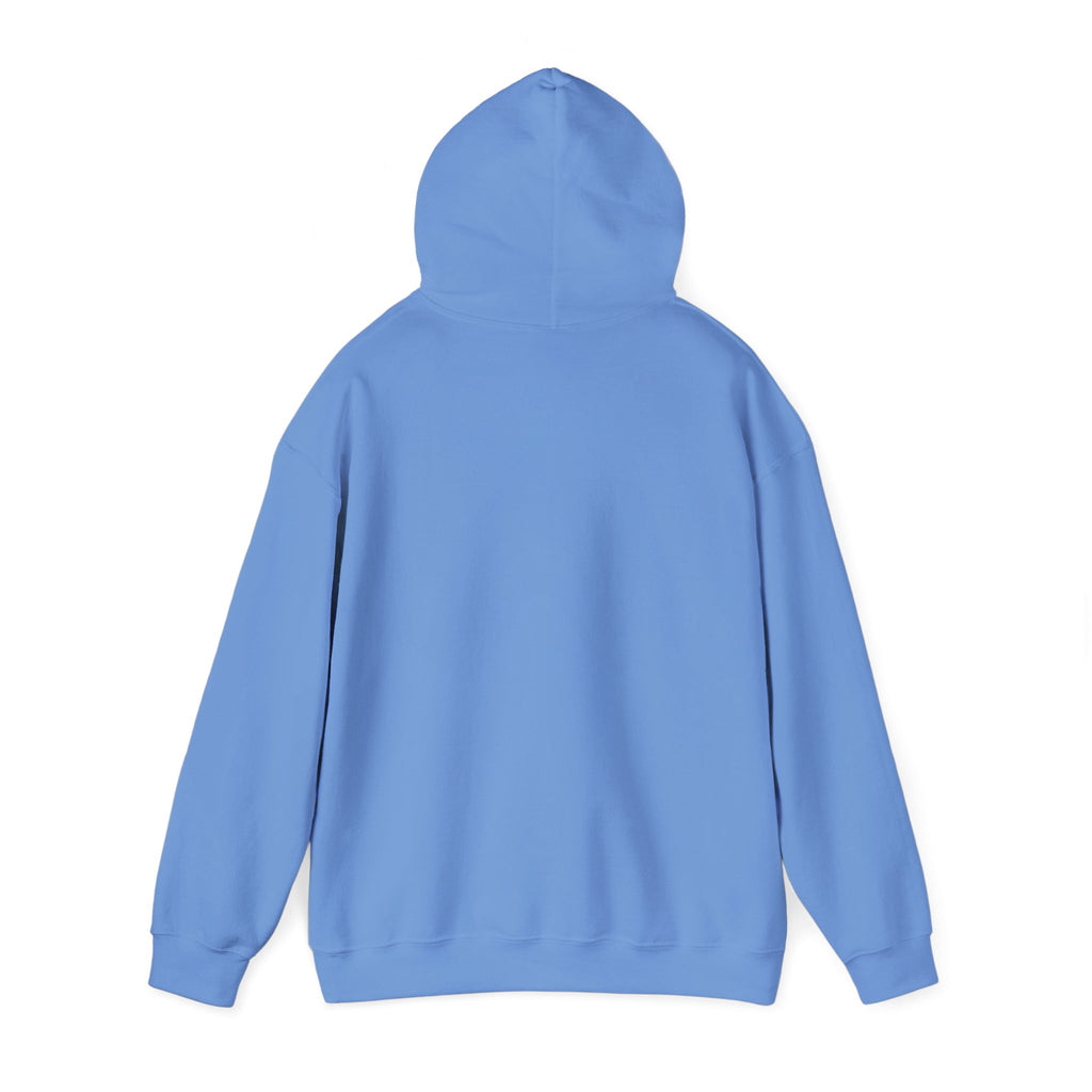 IDK, IDC, and IDGAF - Hoodie