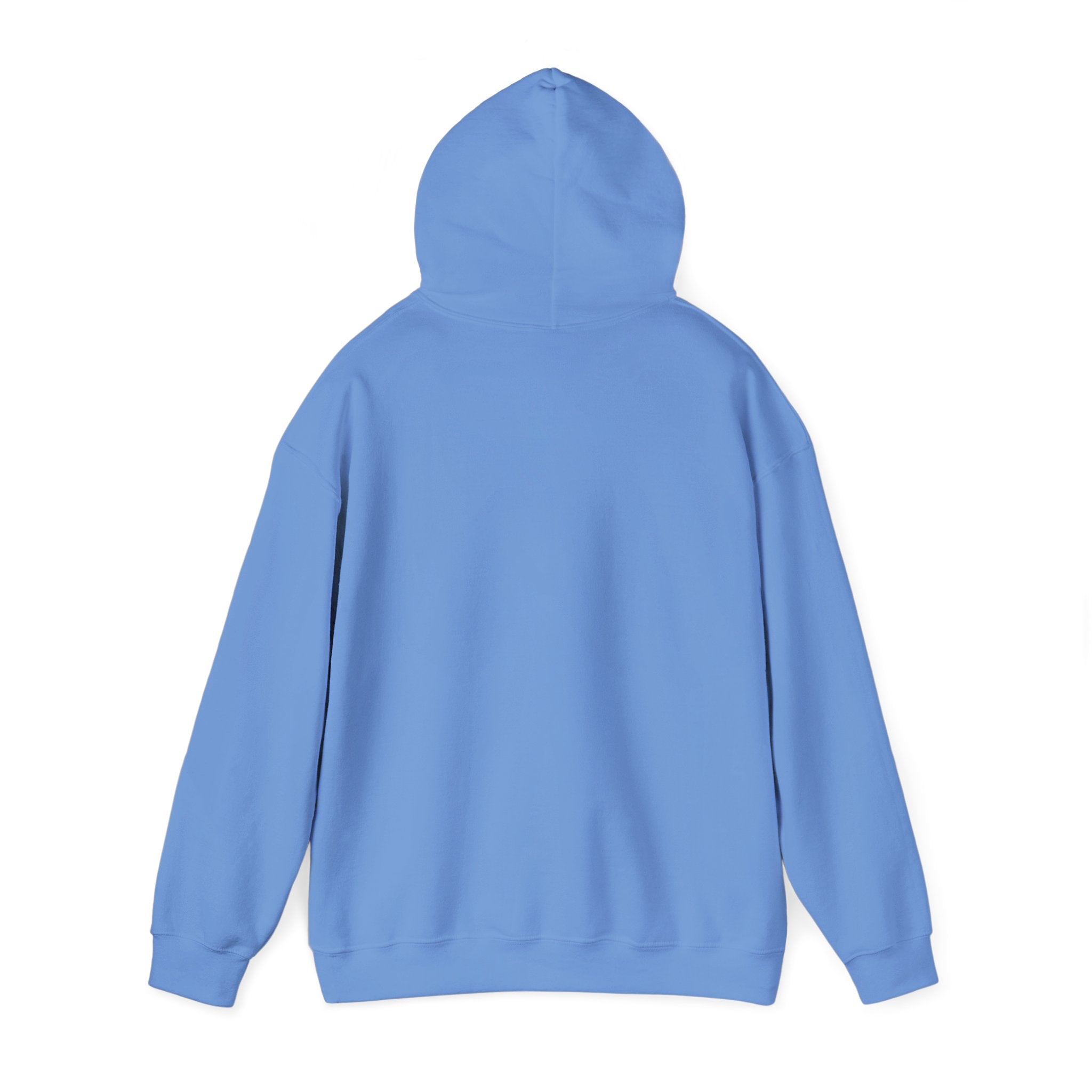 IDK, IDC, and IDGAF - Hoodie