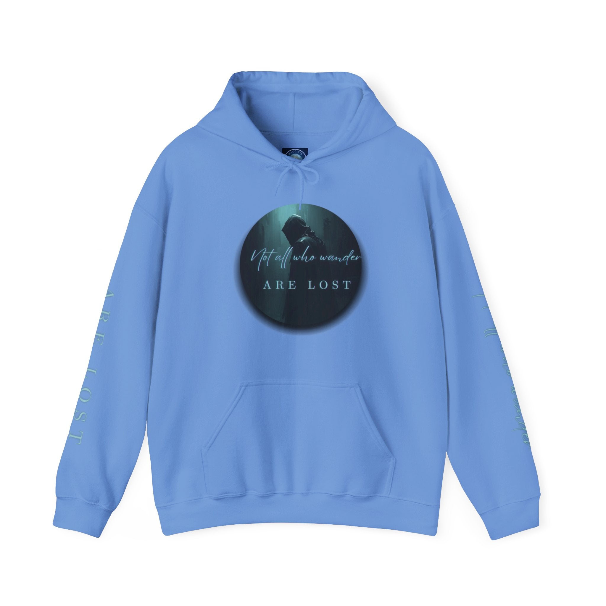 If Not Now, We Are Lost - hoodie