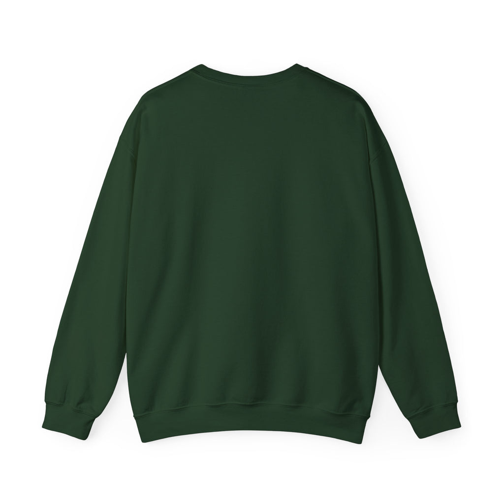 Let the past be your compass, but not your anchor - Sweatshirt