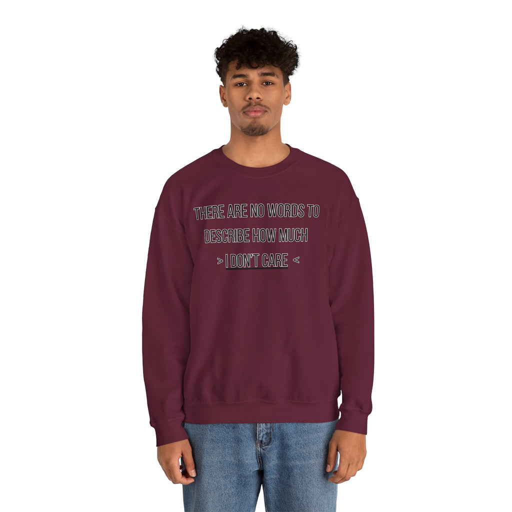 There Are No Words To Describe How Much > I Don’t Care < - Sweatshirt