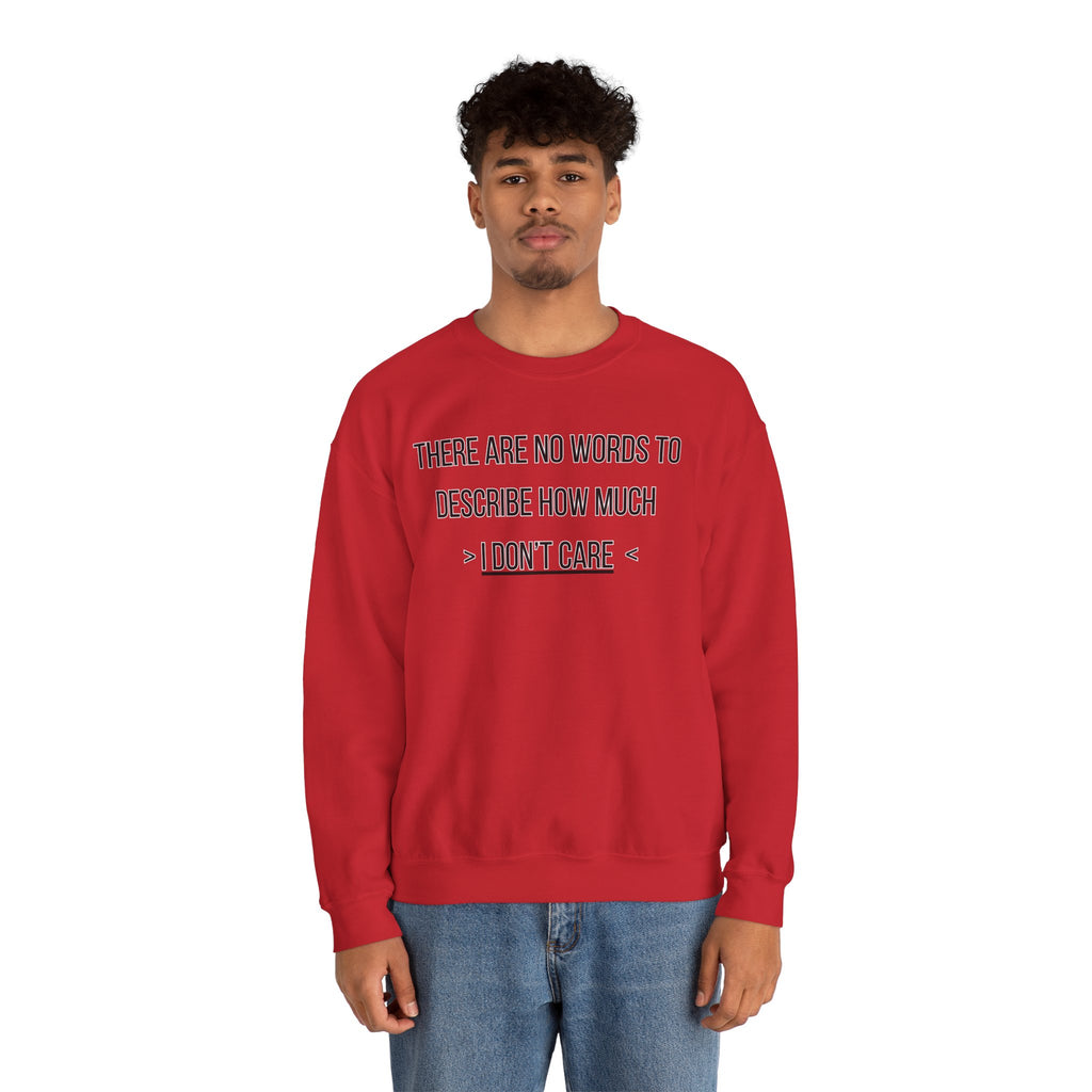 There Are No Words To Describe How Much > I Don’t Care < - Sweatshirt