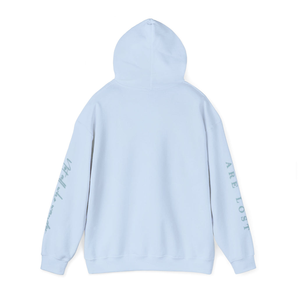 If Not Now, We Are Lost - hoodie