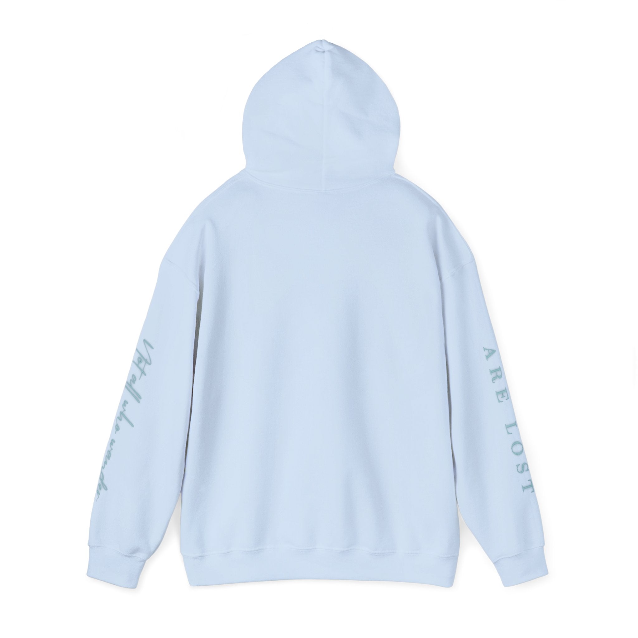 If Not Now, We Are Lost - hoodie