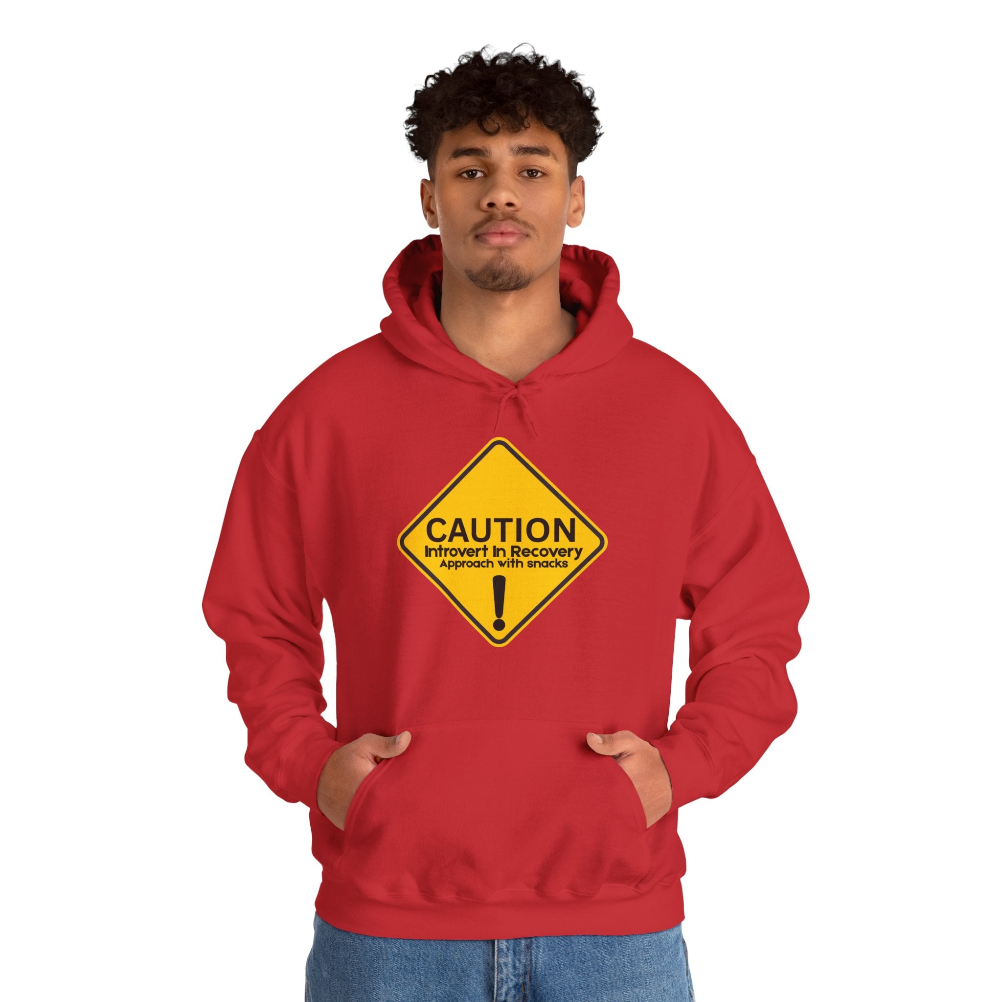 Caution: Introvert In Recovery — Approach With Snacks - hoodie
