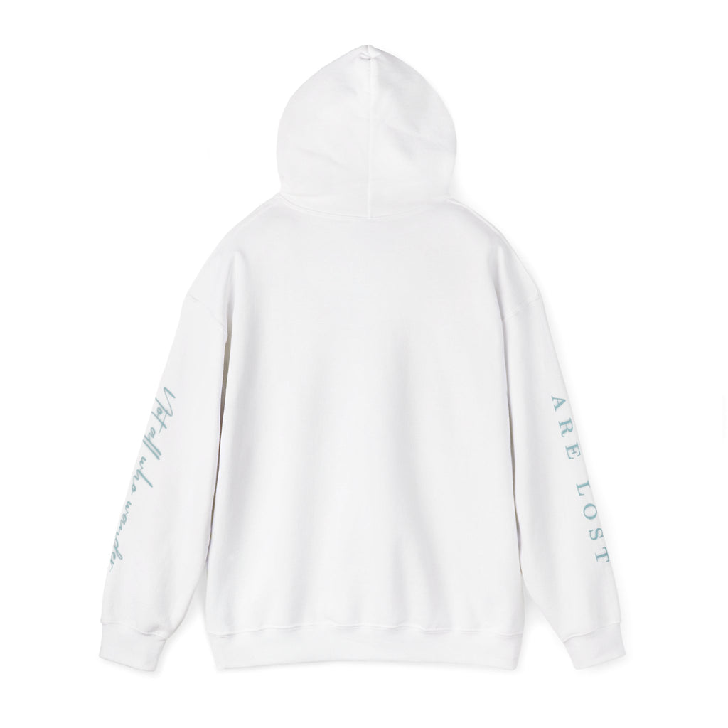If Not Now, We Are Lost - hoodie