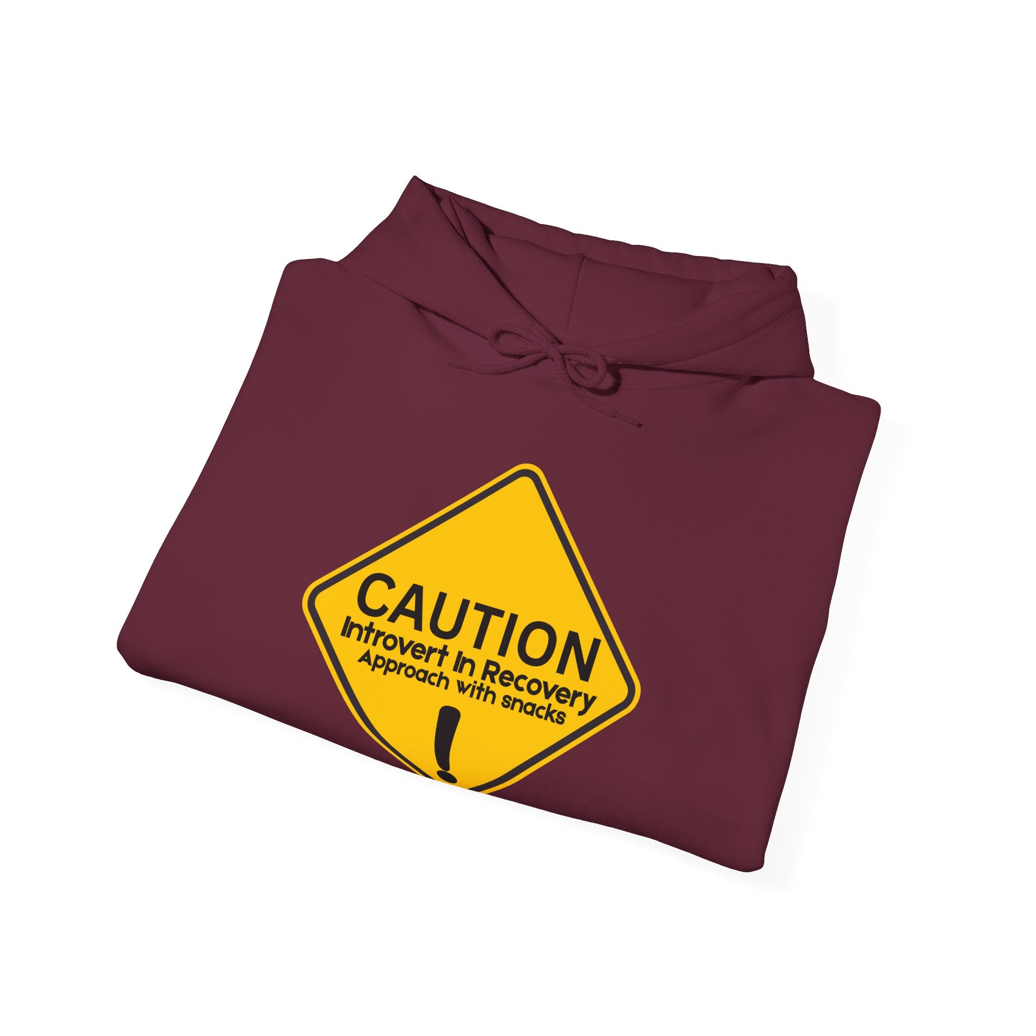 Caution: Introvert In Recovery — Approach With Snacks - hoodie