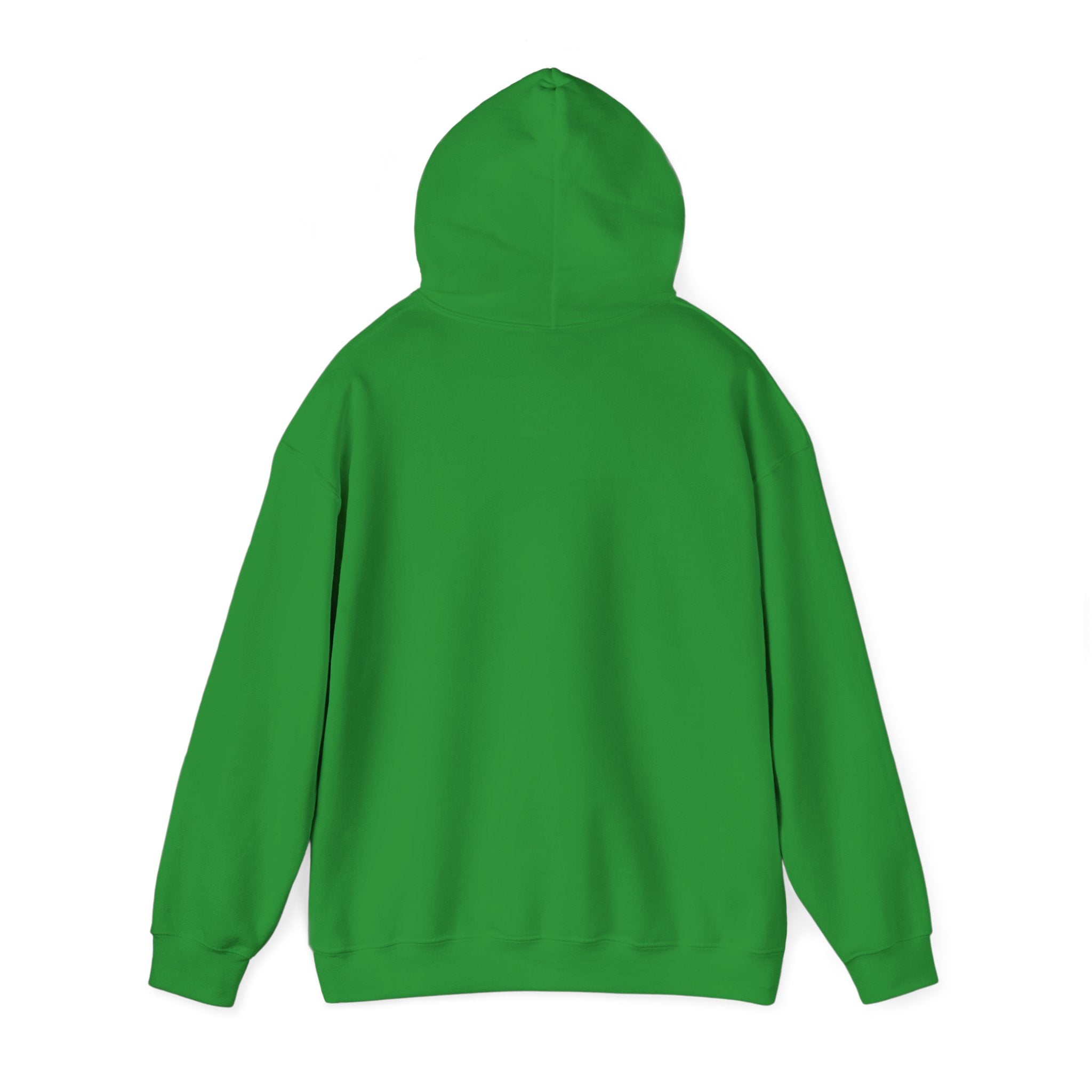 IDK, IDC, and IDGAF - Hoodie
