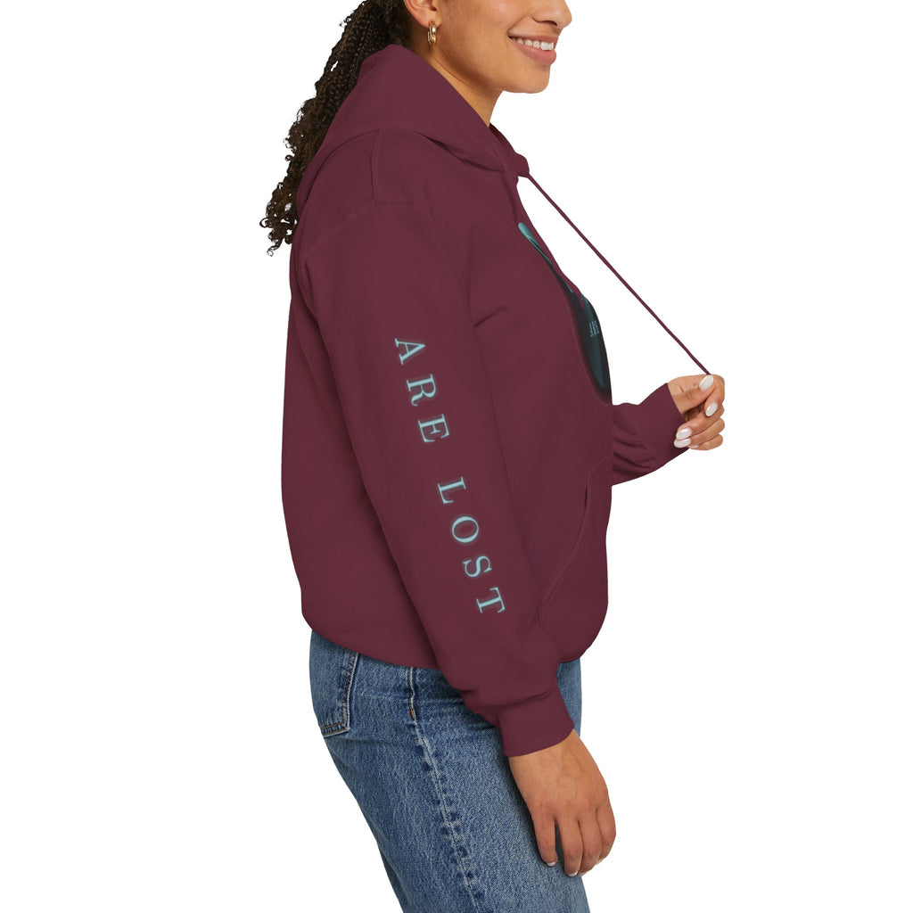 If Not Now, We Are Lost - hoodie