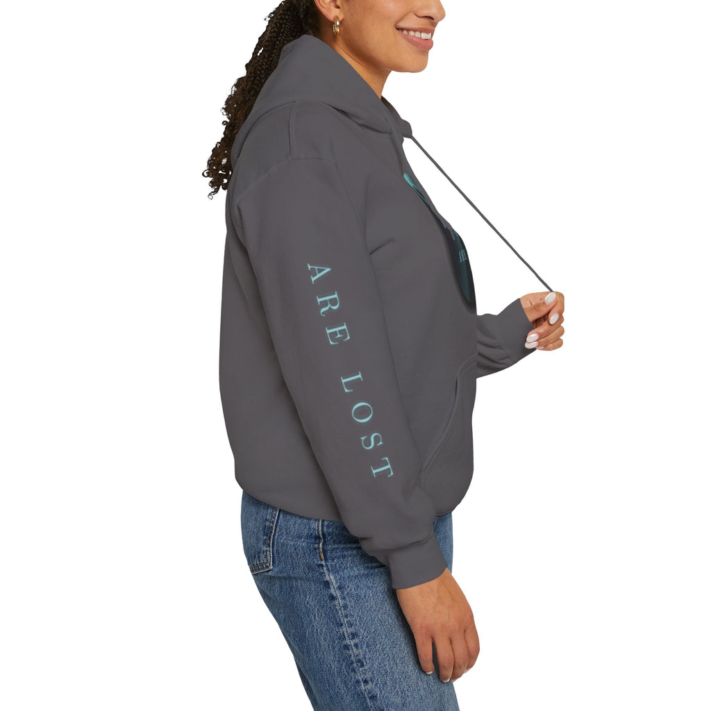 If Not Now, We Are Lost - hoodie