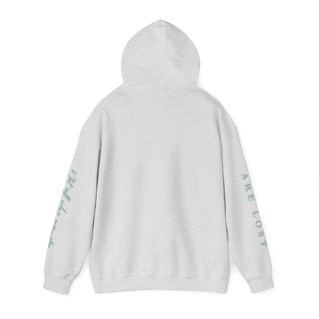 If Not Now, We Are Lost - hoodie