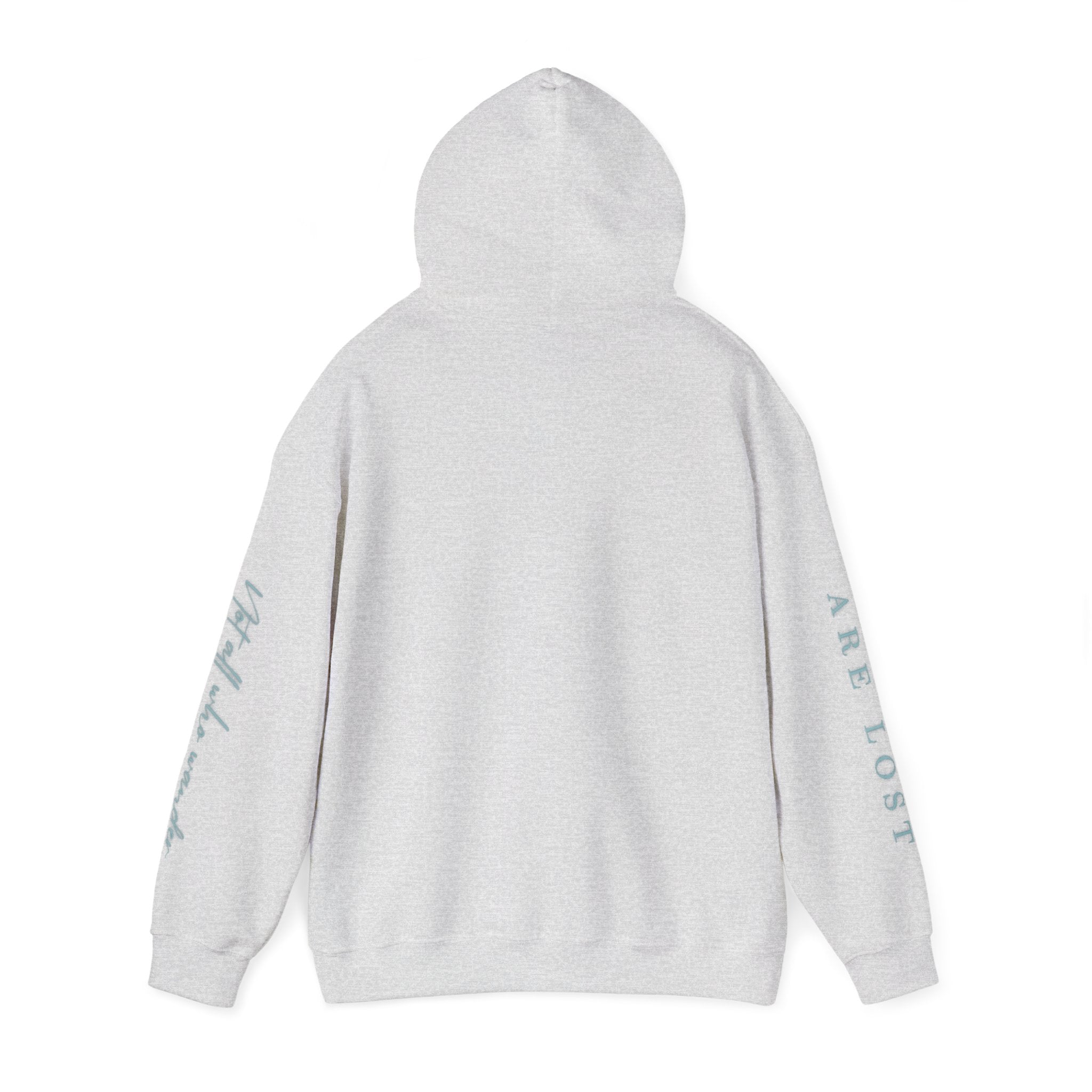 If Not Now, We Are Lost - hoodie