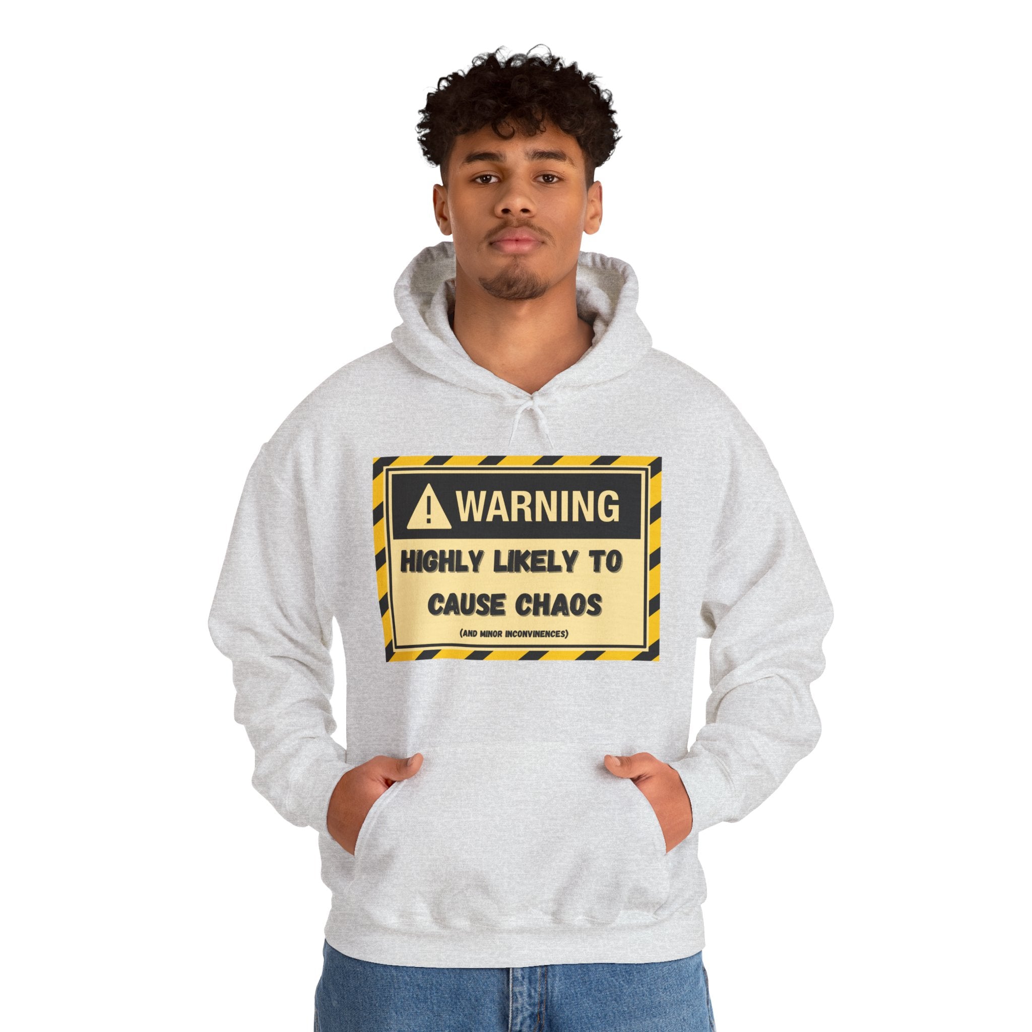 Warning: Highly Likely to Cause Chaos And Minor Inconveniences - Hoodie