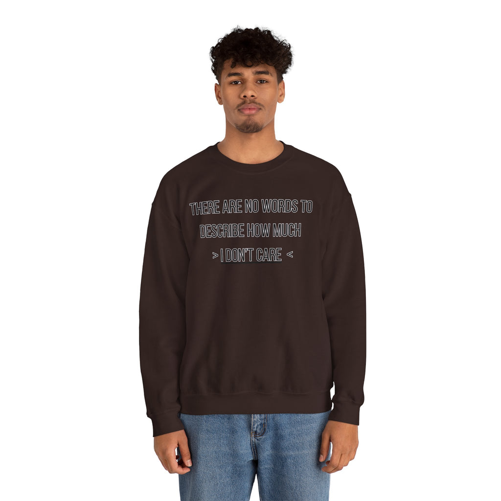 There Are No Words To Describe How Much > I Don’t Care < - Sweatshirt