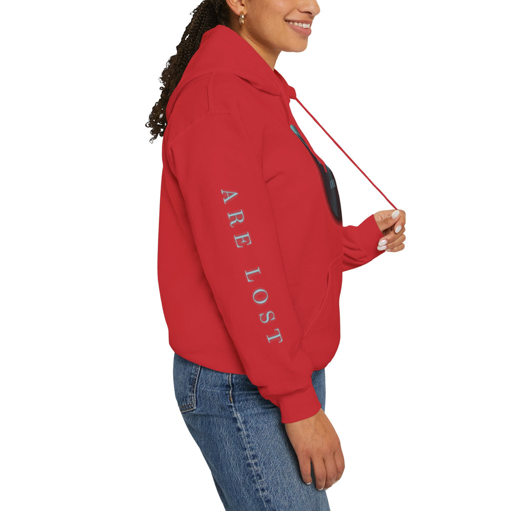 If Not Now, We Are Lost - hoodie