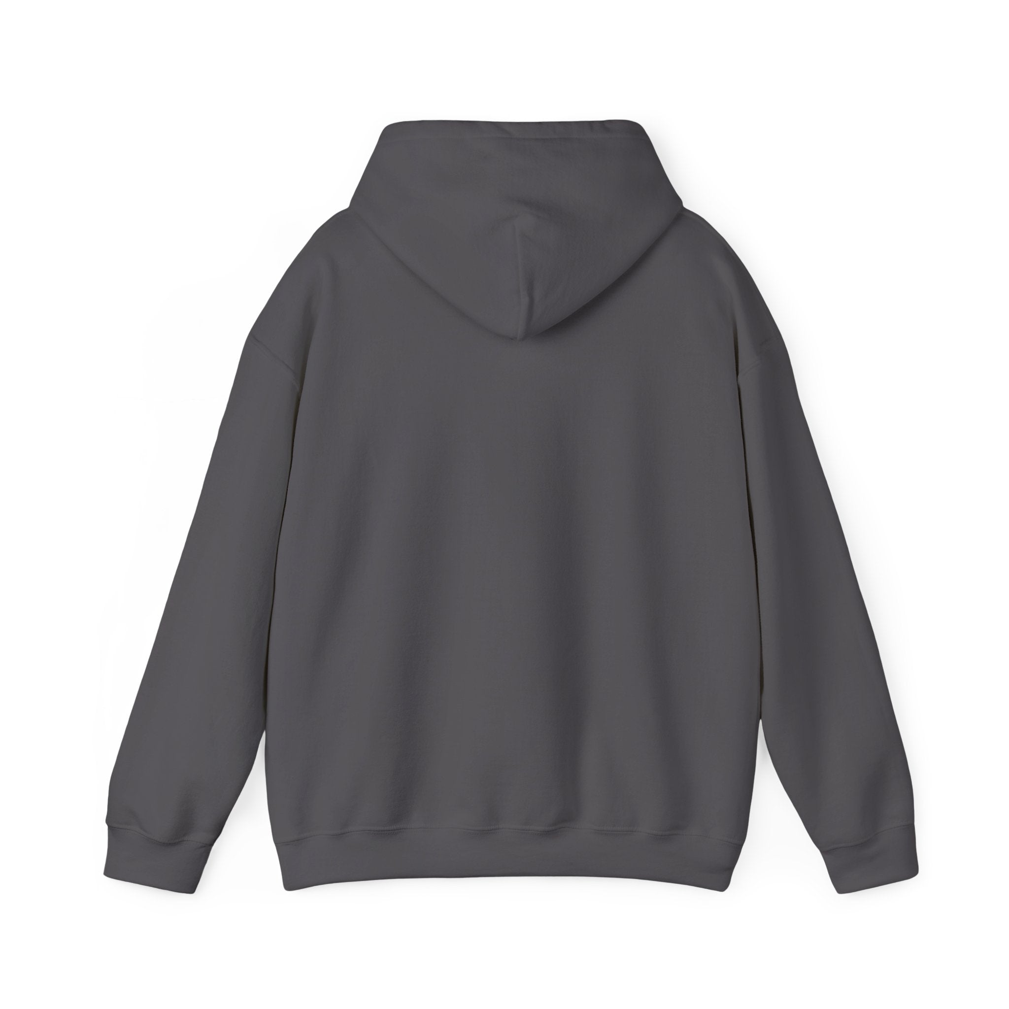 IDK, IDC, and IDGAF - Hoodie