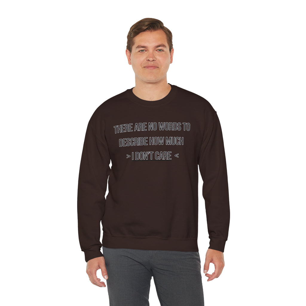 There Are No Words To Describe How Much > I Don’t Care < - Sweatshirt