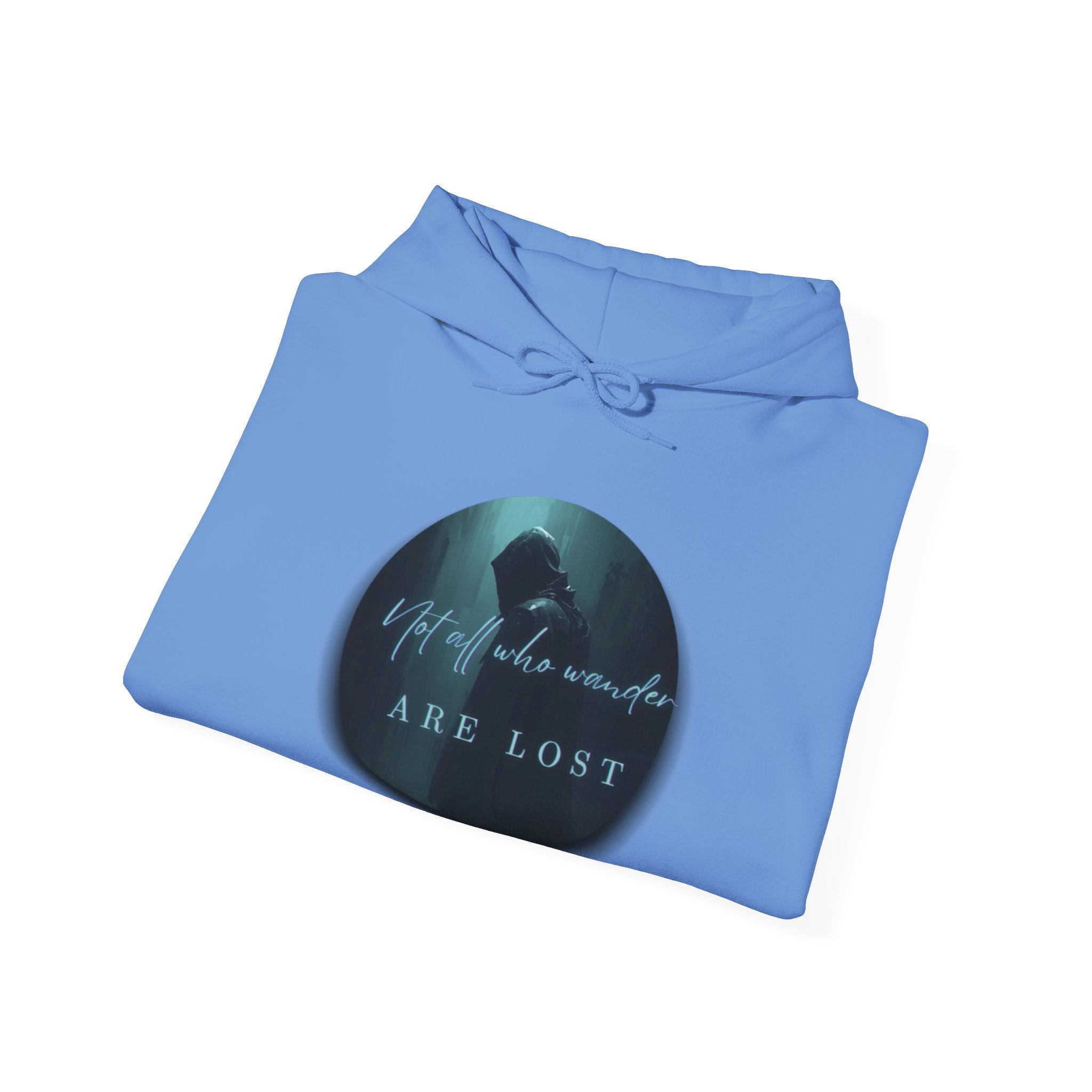 If Not Now, We Are Lost - hoodie