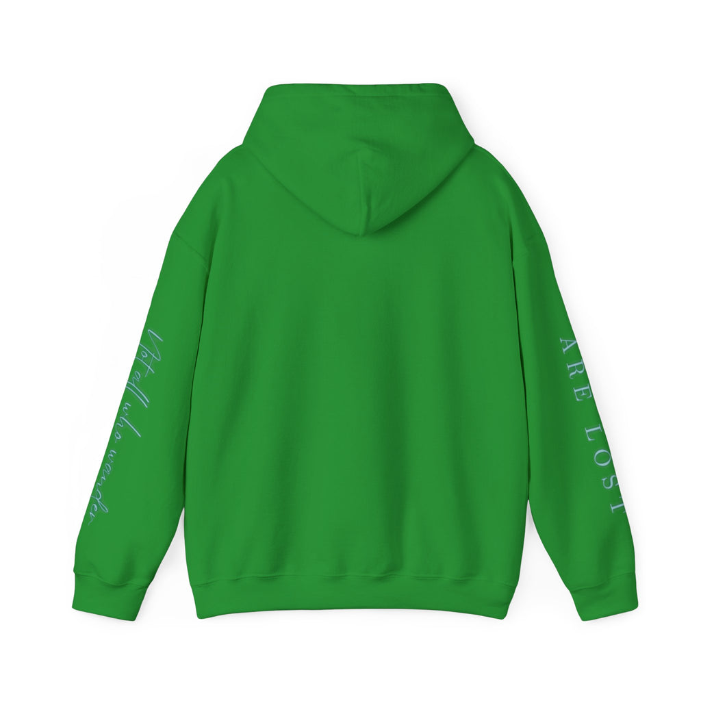 If Not Now, We Are Lost - hoodie