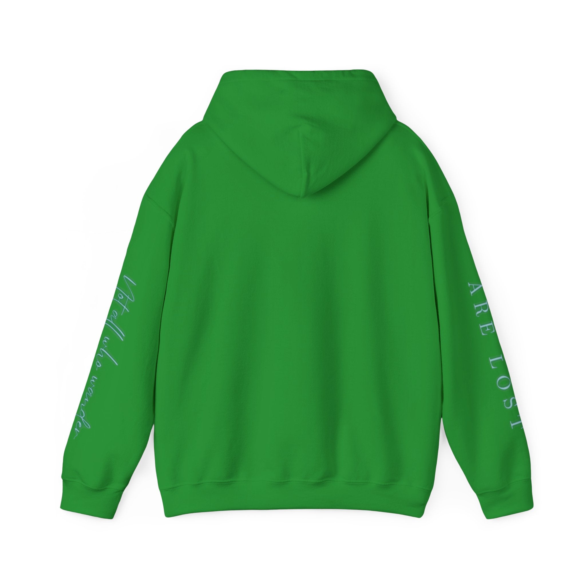 If Not Now, We Are Lost - hoodie