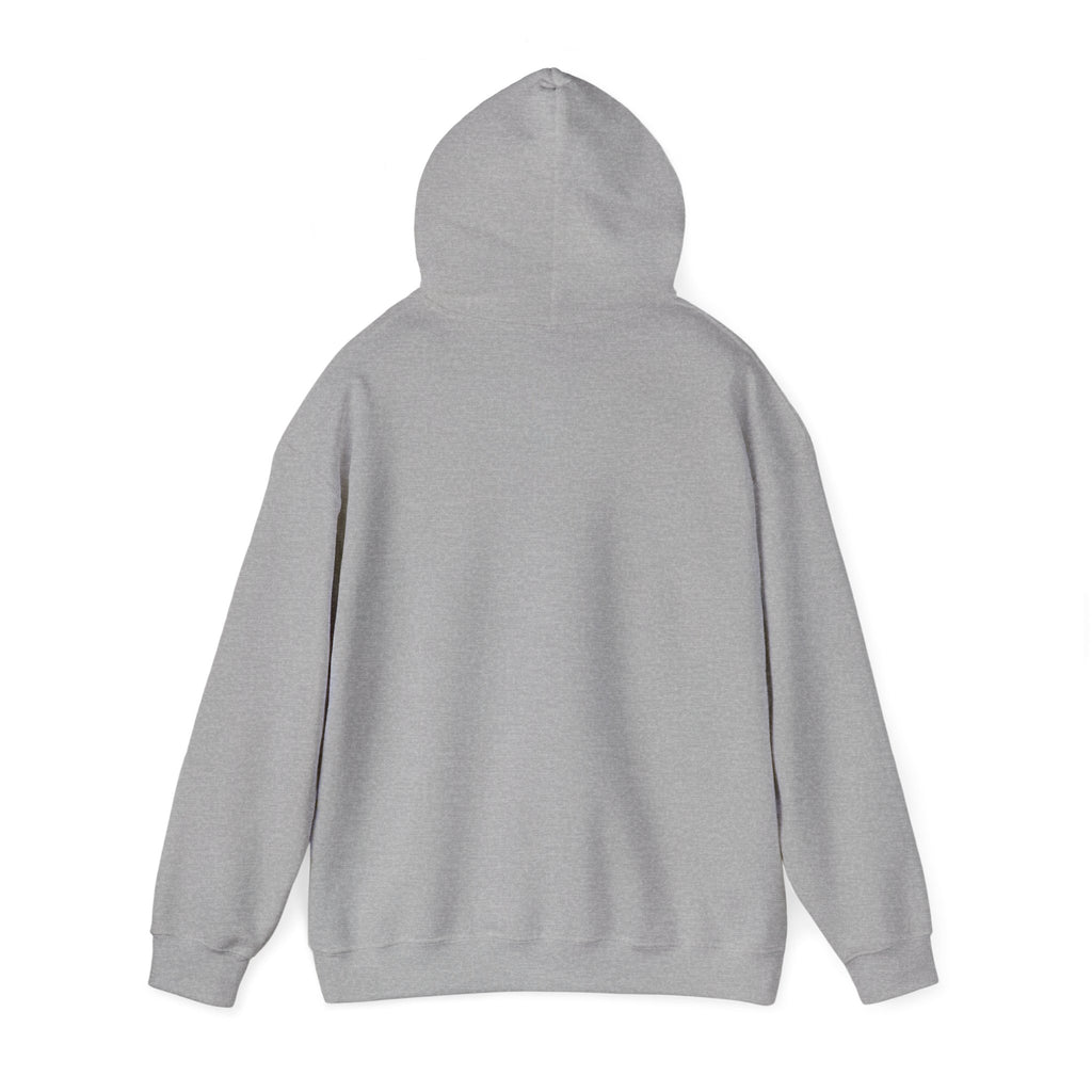 I Run On: Caffeine and Petty Thoughts - Hoodie