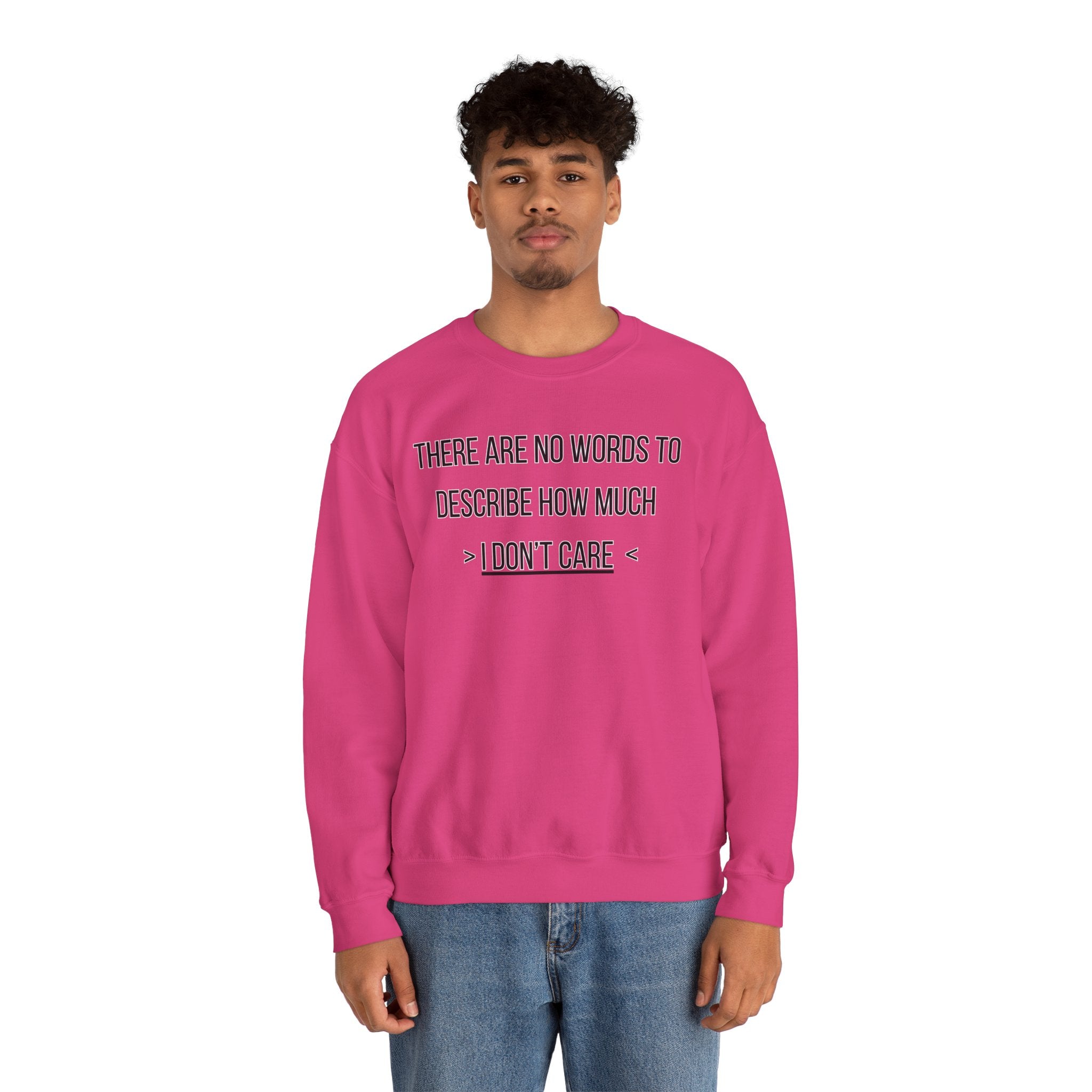 There Are No Words To Describe How Much > I Don’t Care < - Sweatshirt