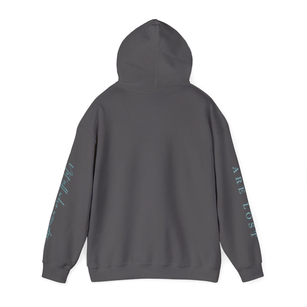 If Not Now, We Are Lost - hoodie