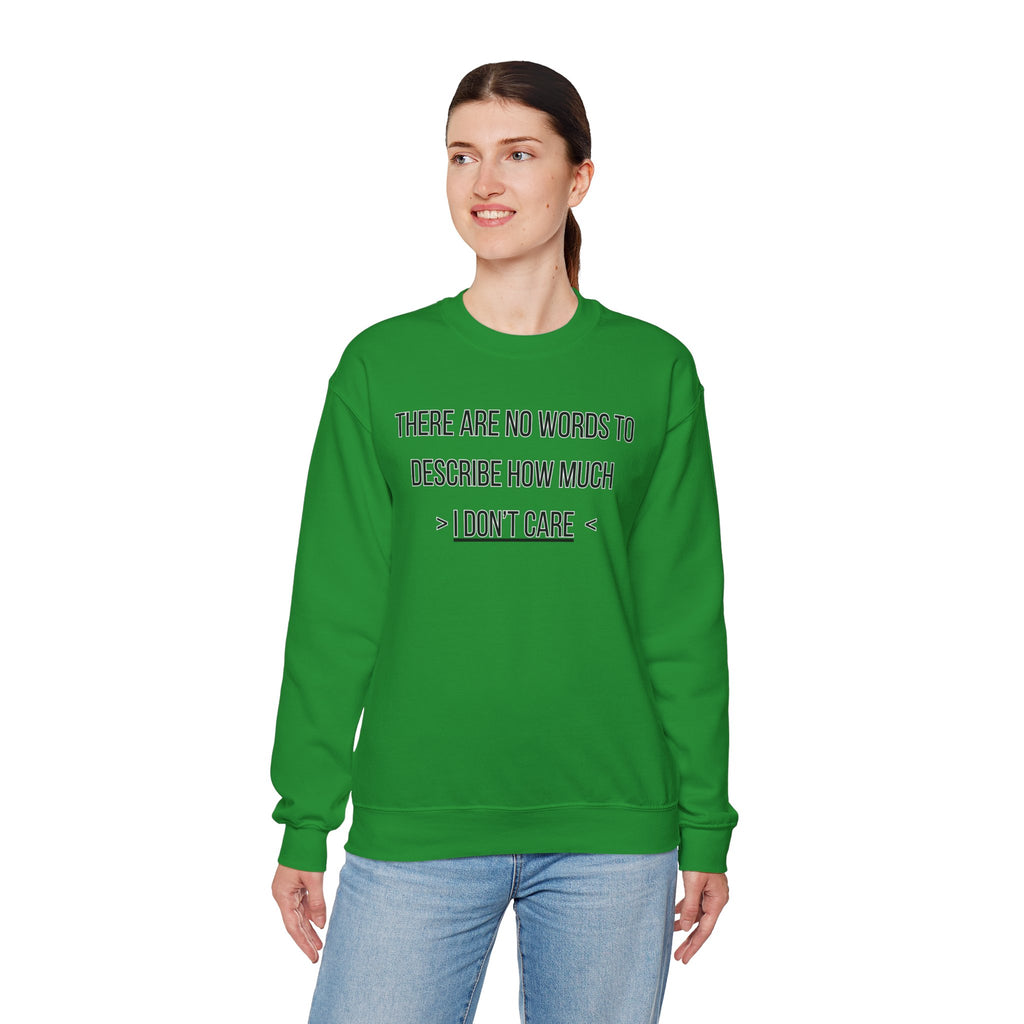 There Are No Words To Describe How Much > I Don’t Care < - Sweatshirt