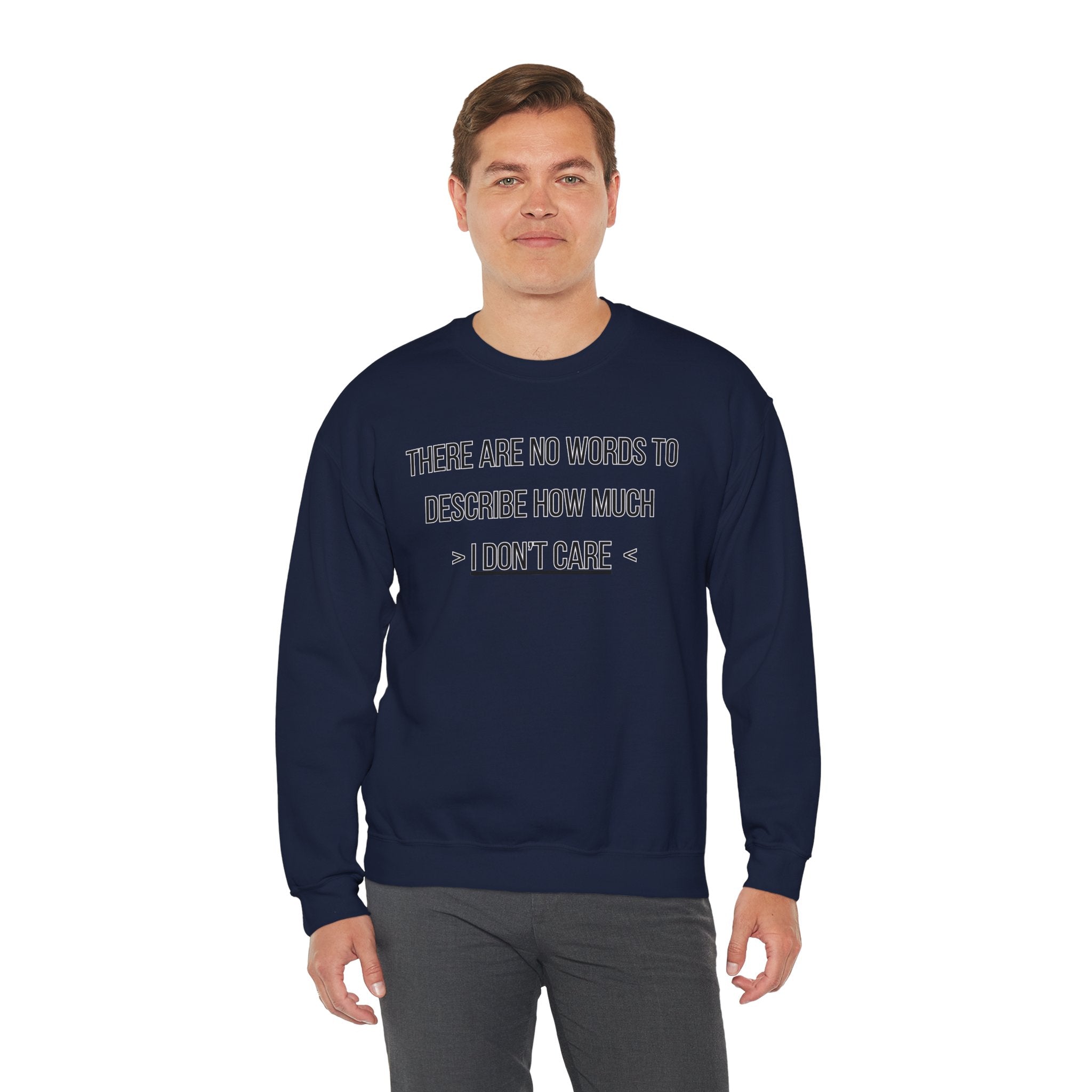 There Are No Words To Describe How Much > I Don’t Care < - Sweatshirt