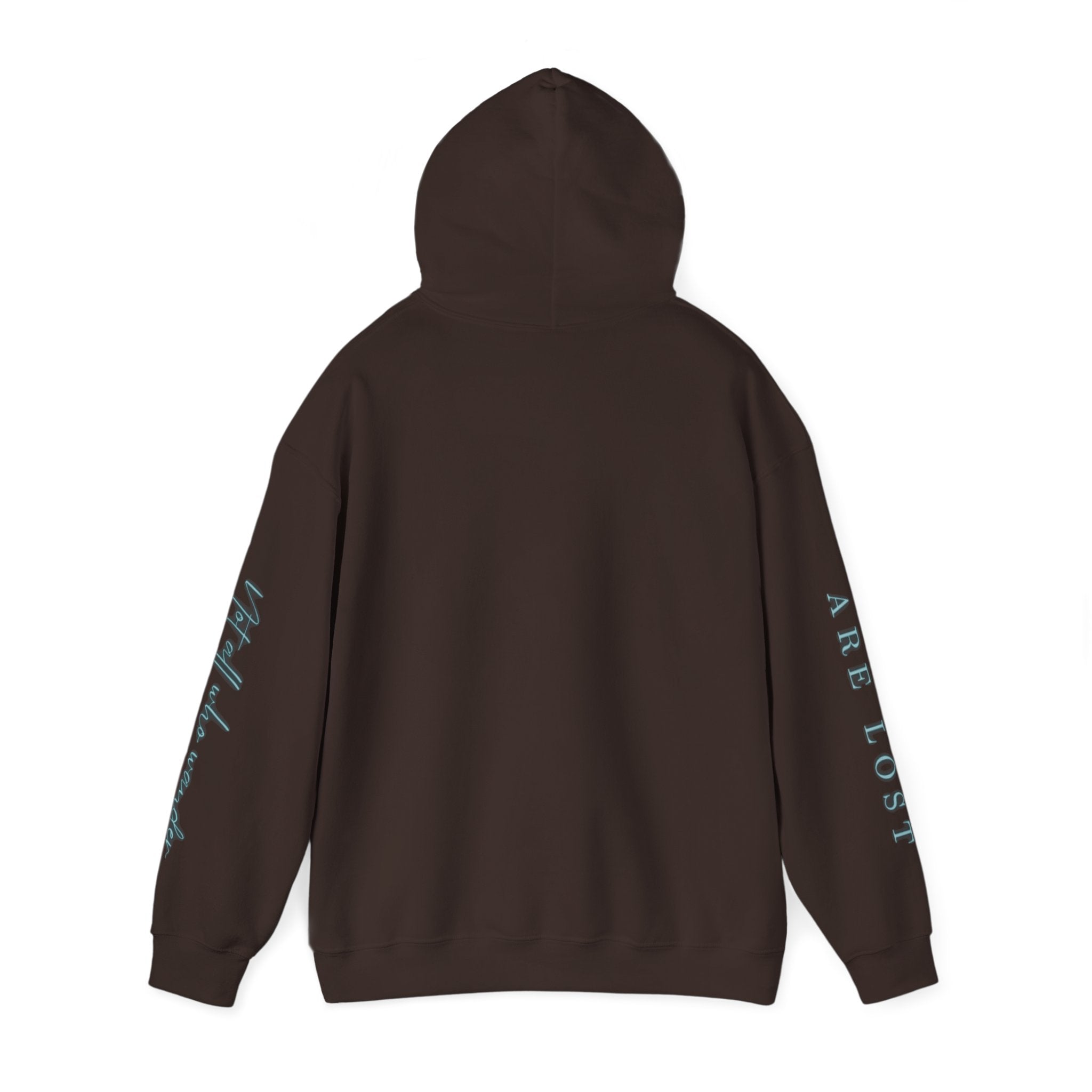 If Not Now, We Are Lost - hoodie