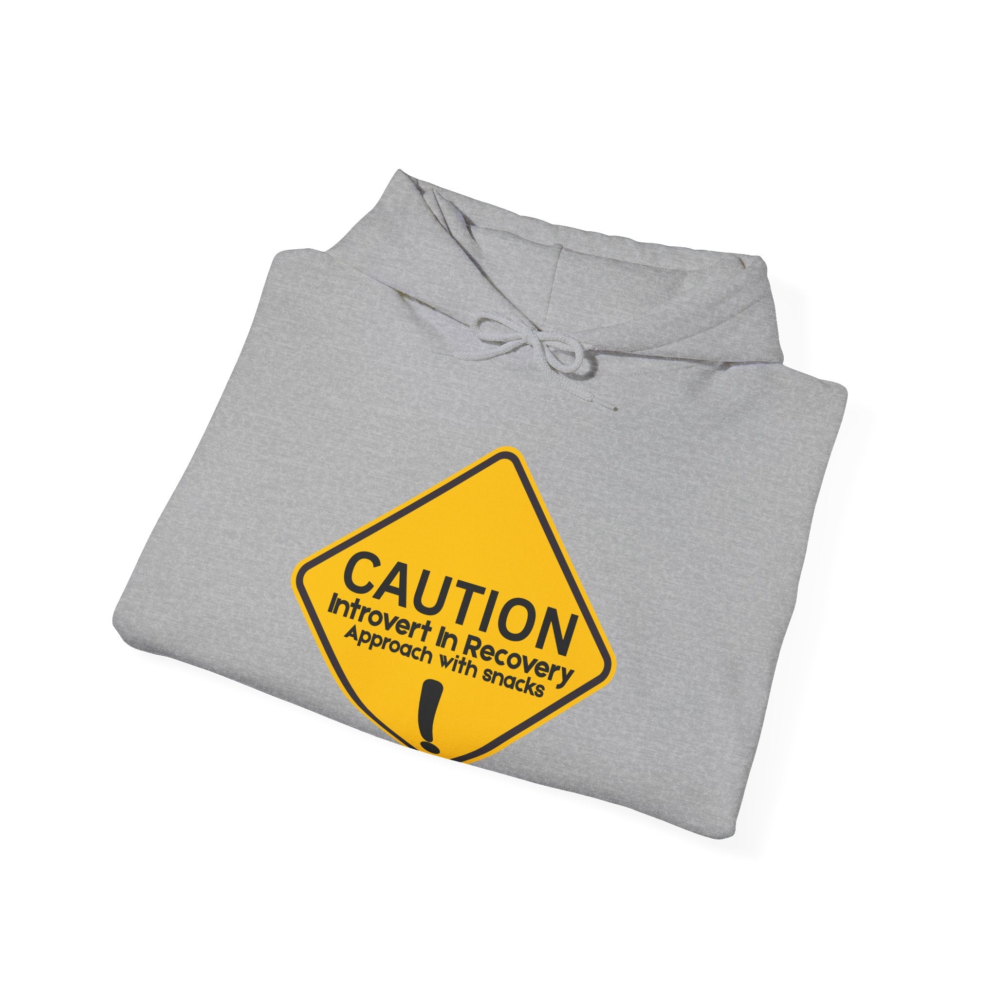 Caution: Introvert In Recovery — Approach With Snacks - hoodie
