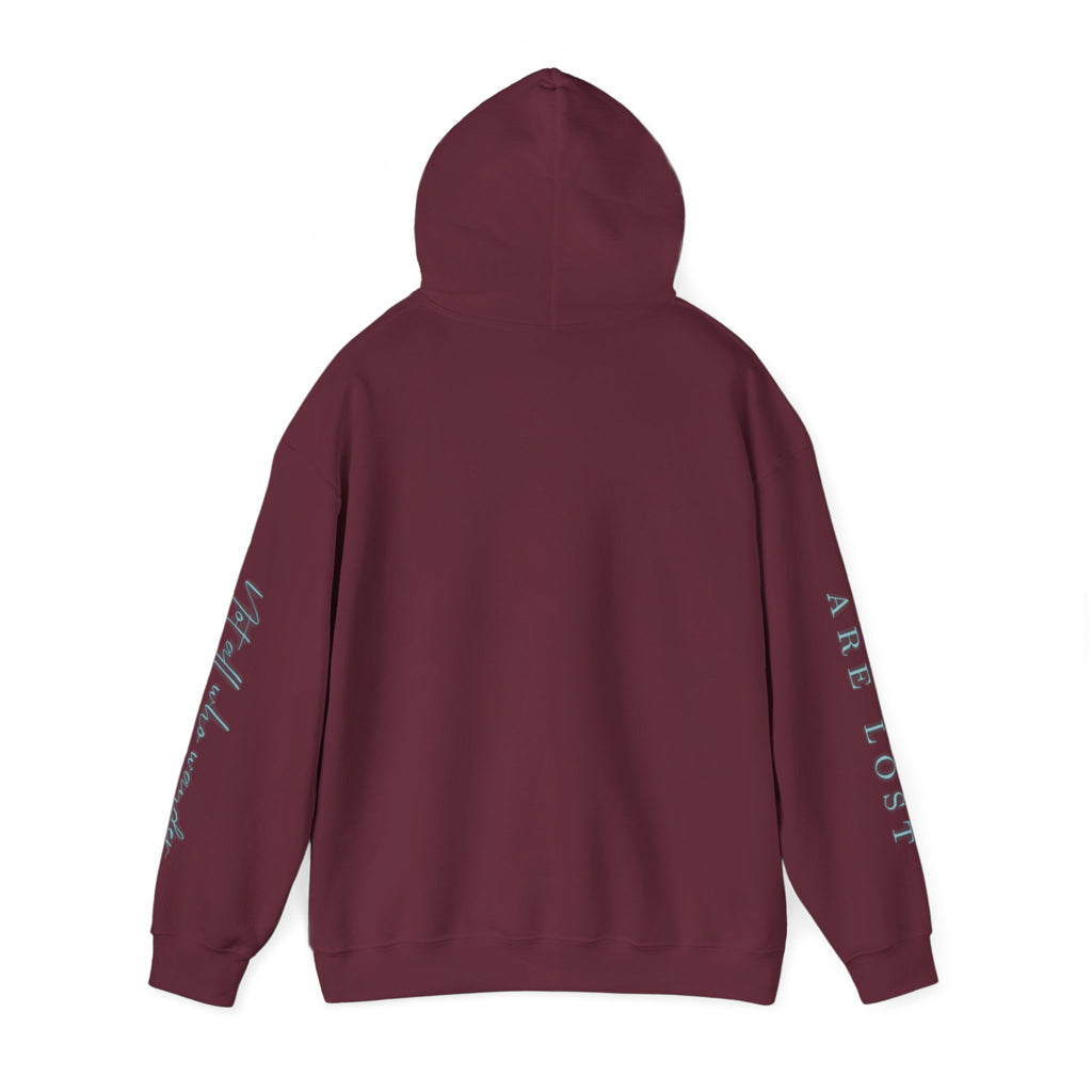 If Not Now, We Are Lost - hoodie