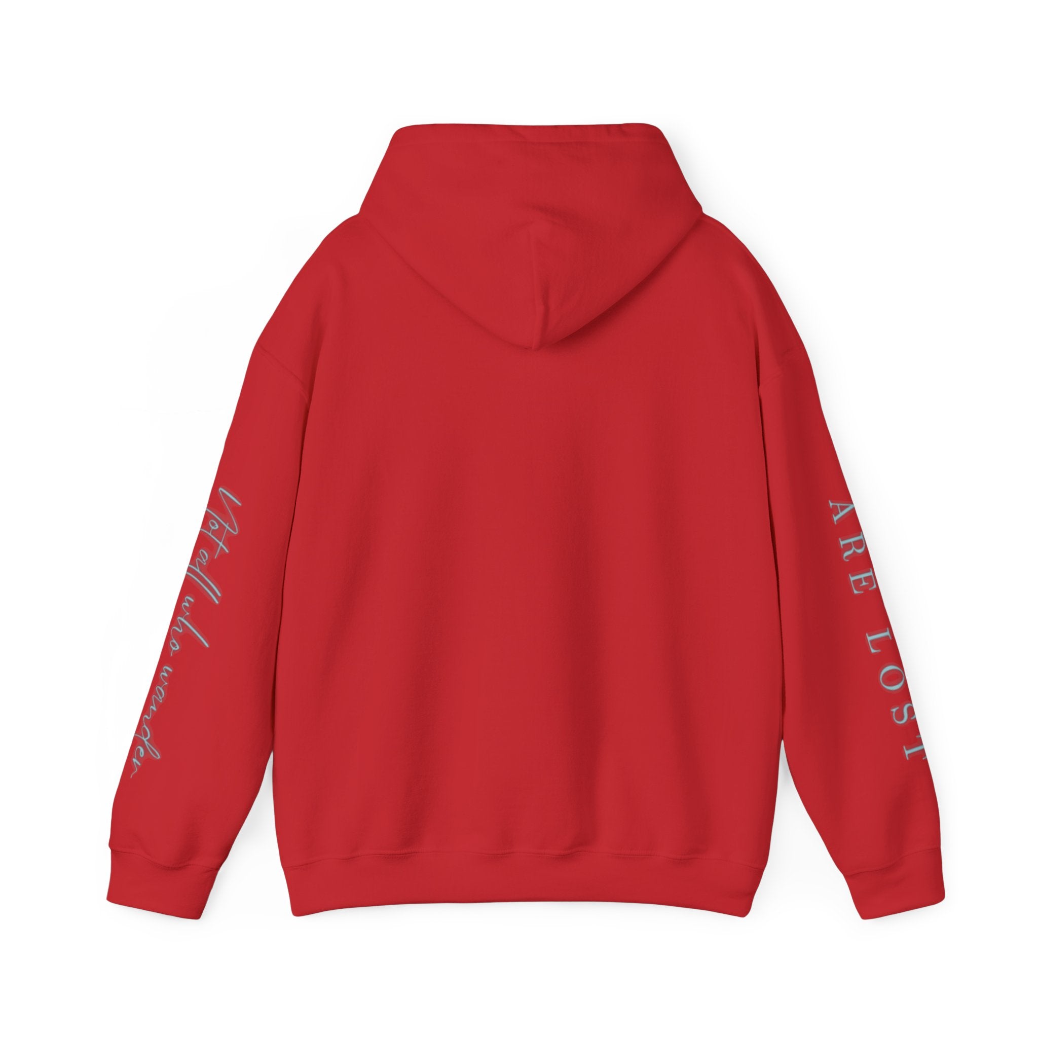 If Not Now, We Are Lost - hoodie