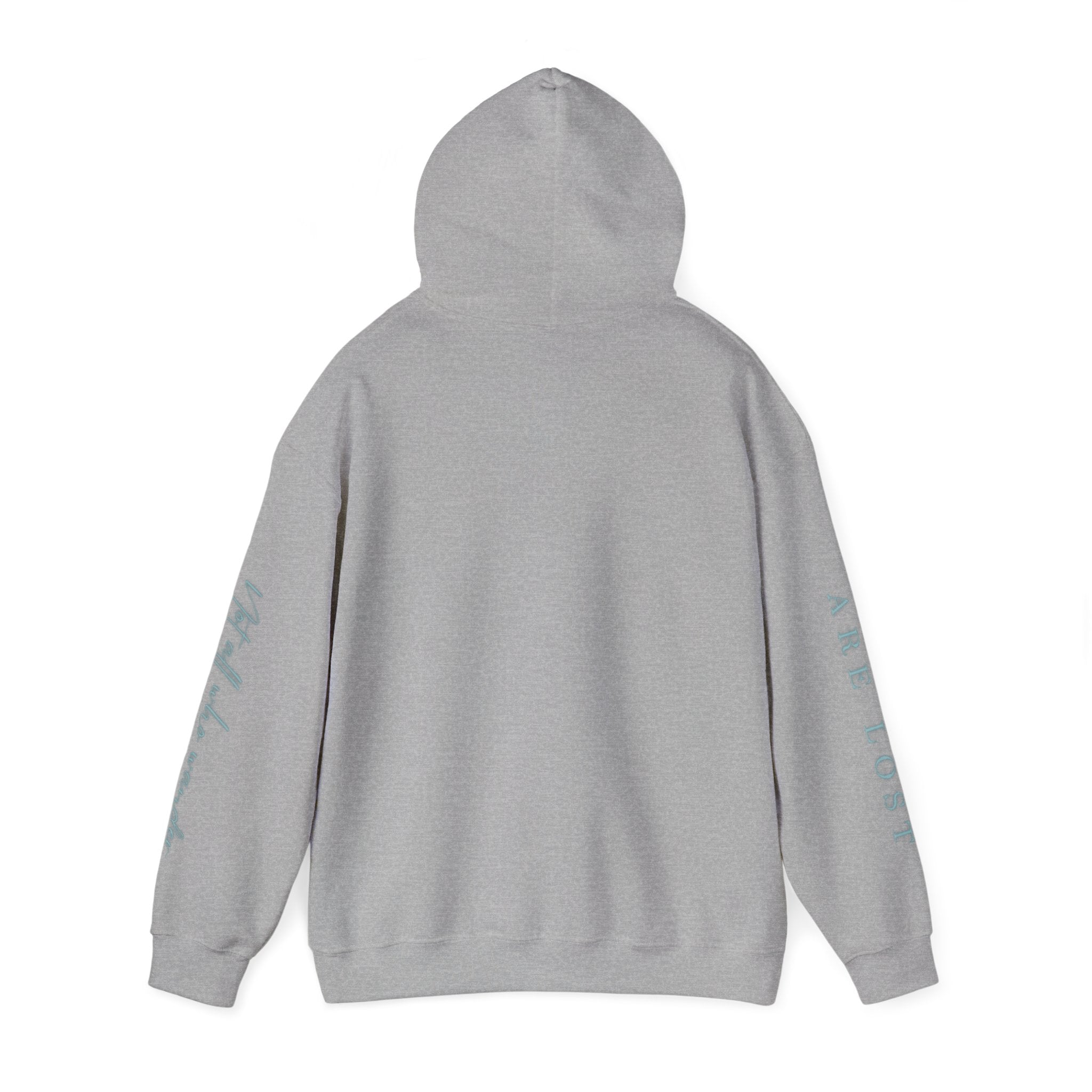 If Not Now, We Are Lost - hoodie