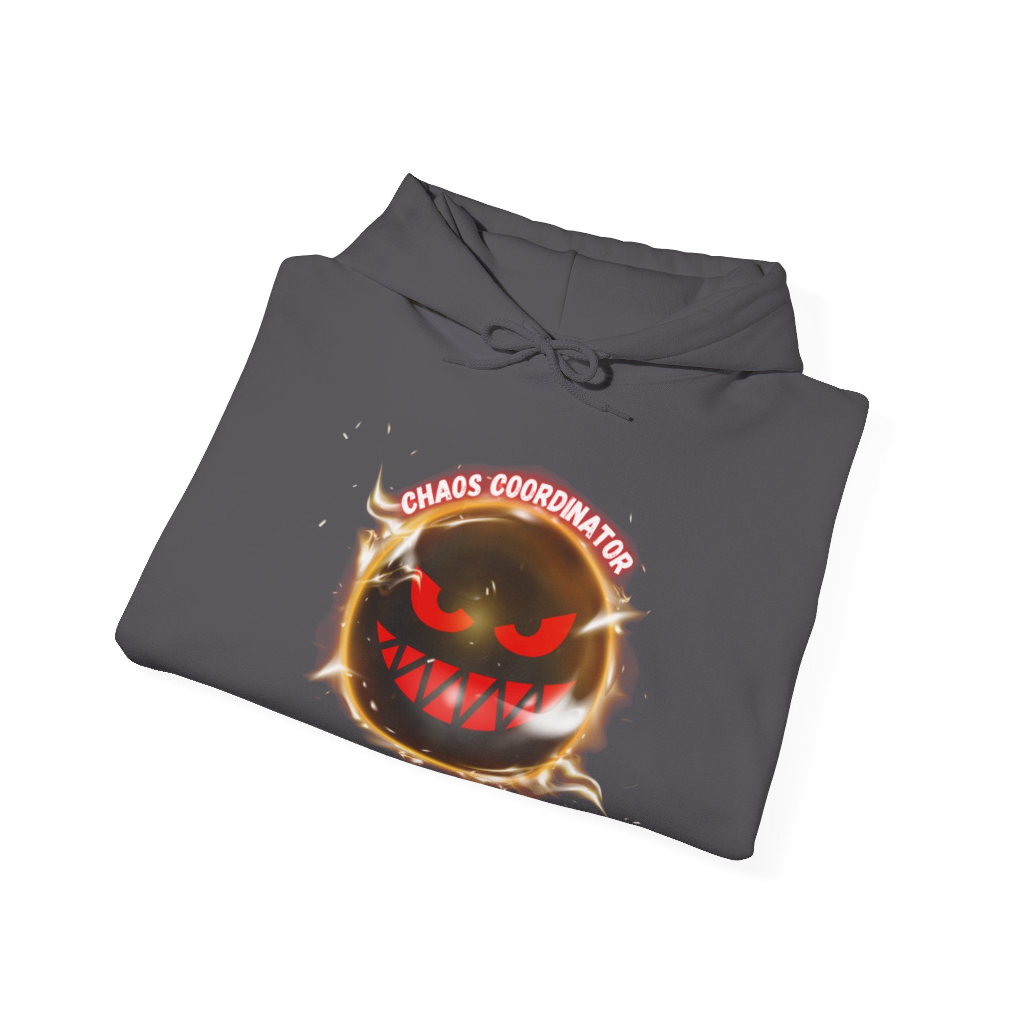 Chaos Coordinator - Hoodie