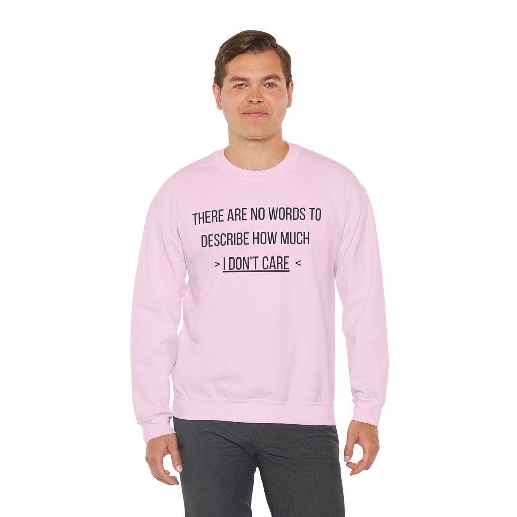 There Are No Words To Describe How Much > I Don’t Care < - Sweatshirt
