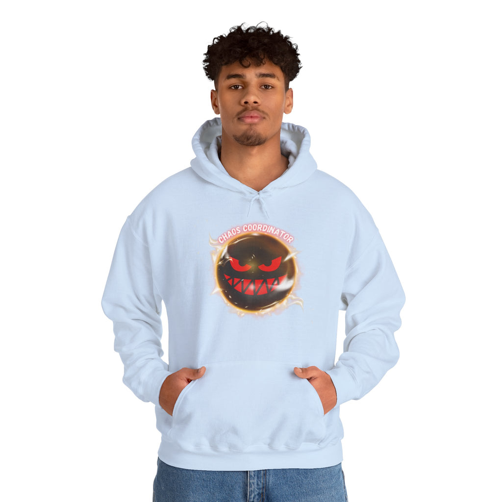 Chaos Coordinator - Hoodie