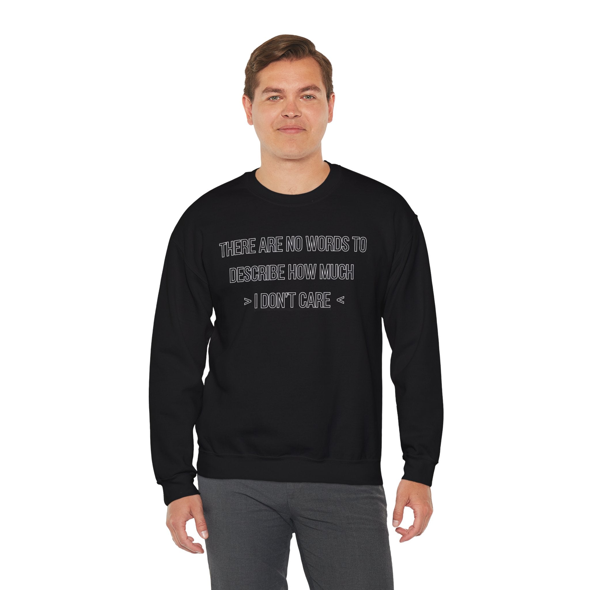 There Are No Words To Describe How Much > I Don’t Care < - Sweatshirt
